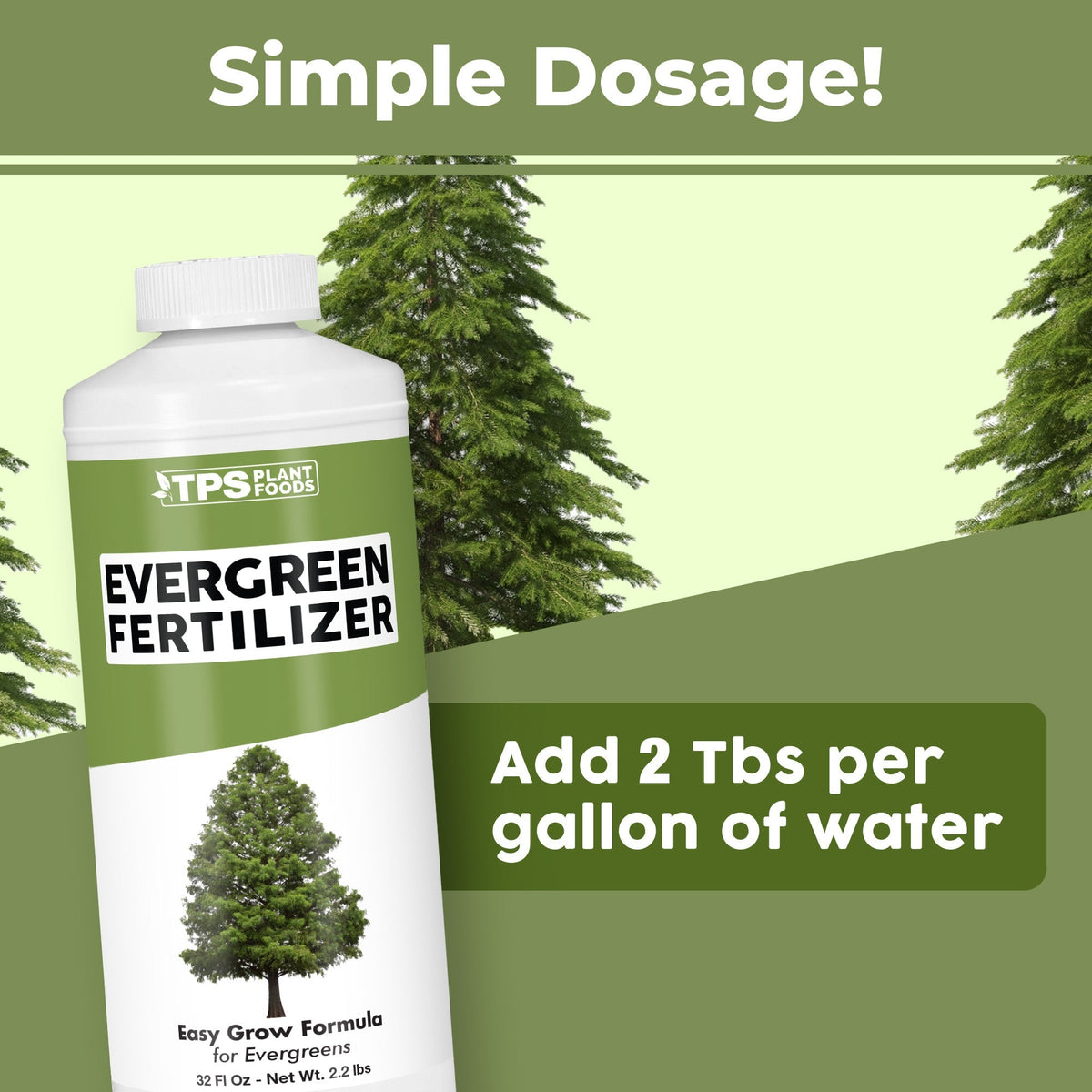 Evergreen Fertilizer - 8 Ounce