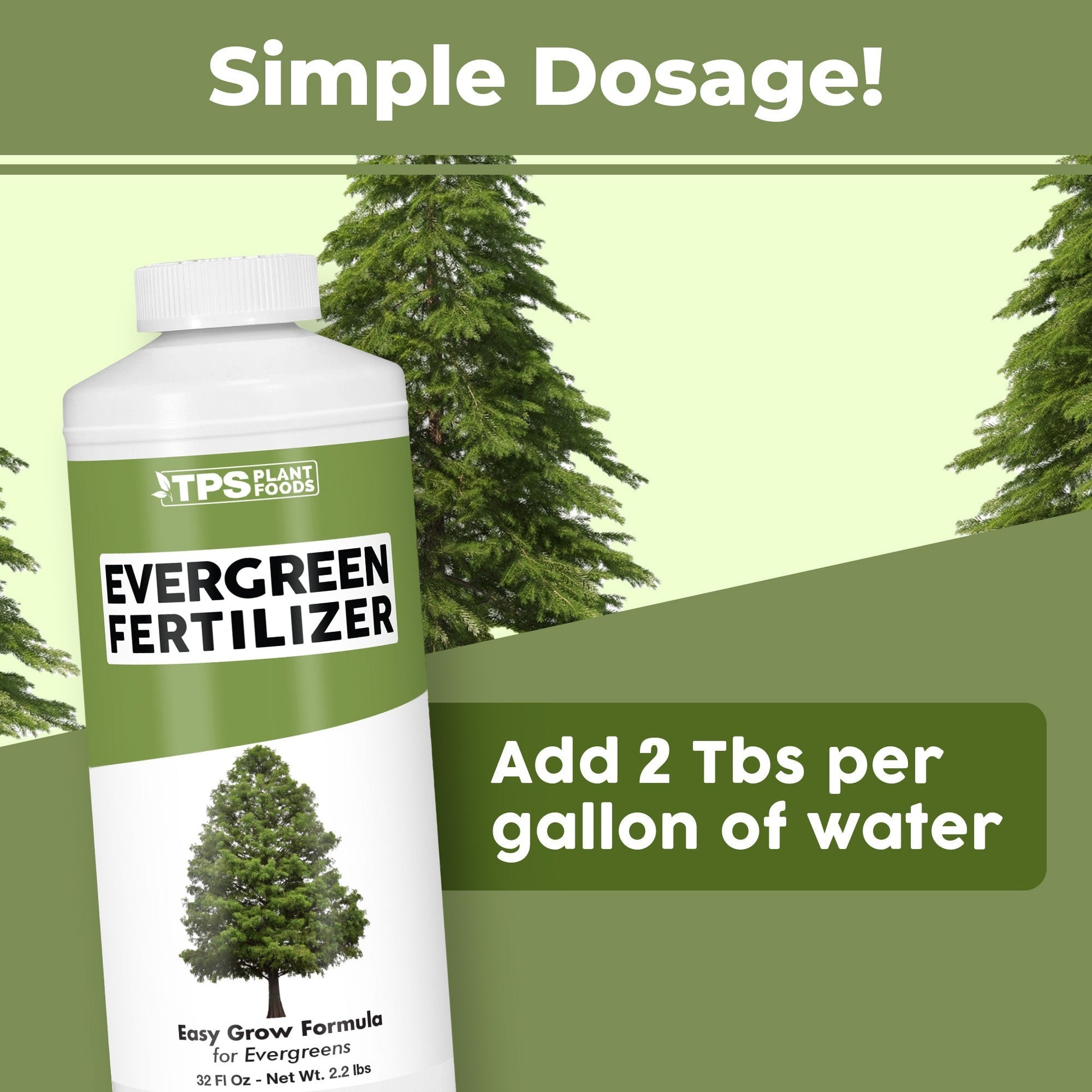 Key benefits and healthy growth features of Evergreen Fertilizer