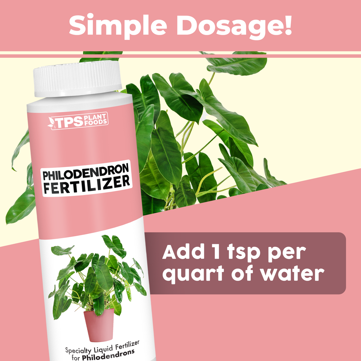 TPS Philodendron Fertilizer 3-1-2 formula, ingredients and philodendron care details