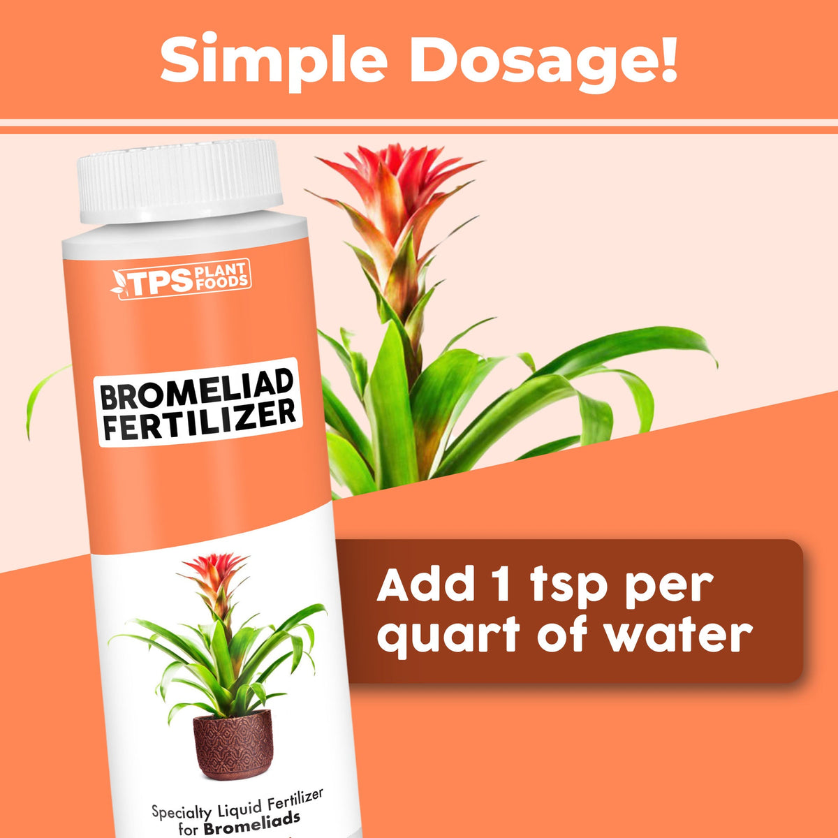 How to use and apply Bromeliad Fertilizer