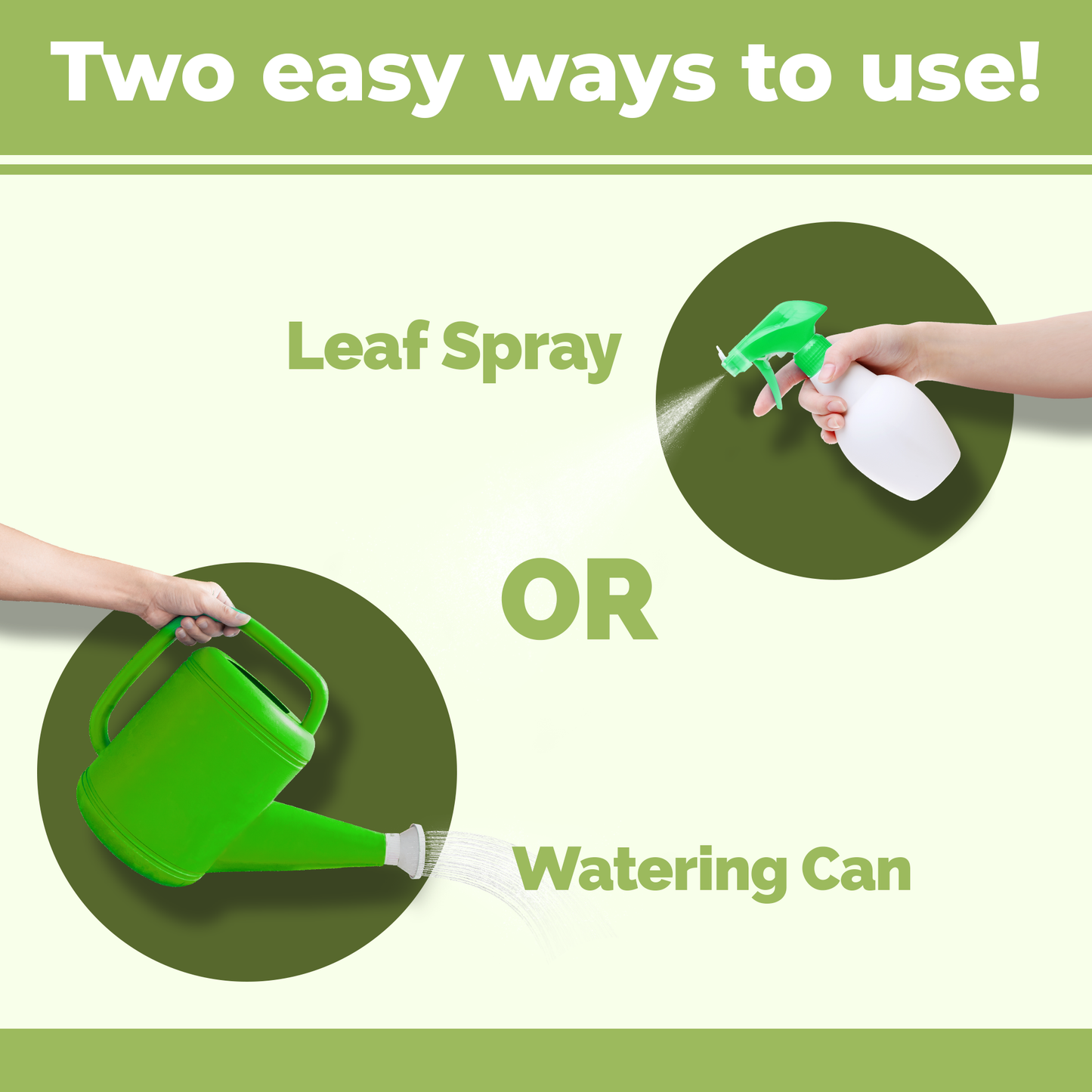 How to use and apply Pothos Fertilizer