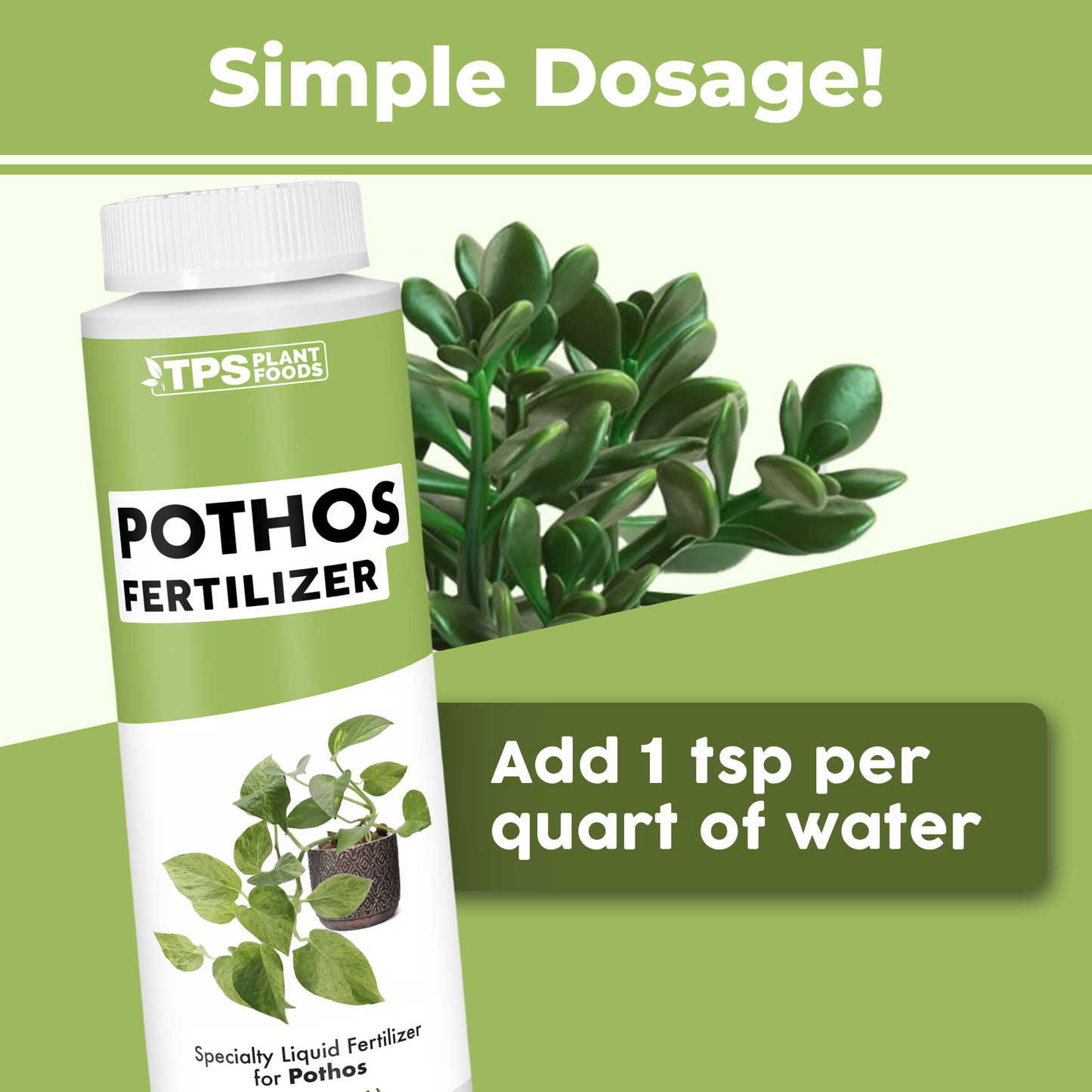 Pothos Fertilizer formula, features, and plant care details