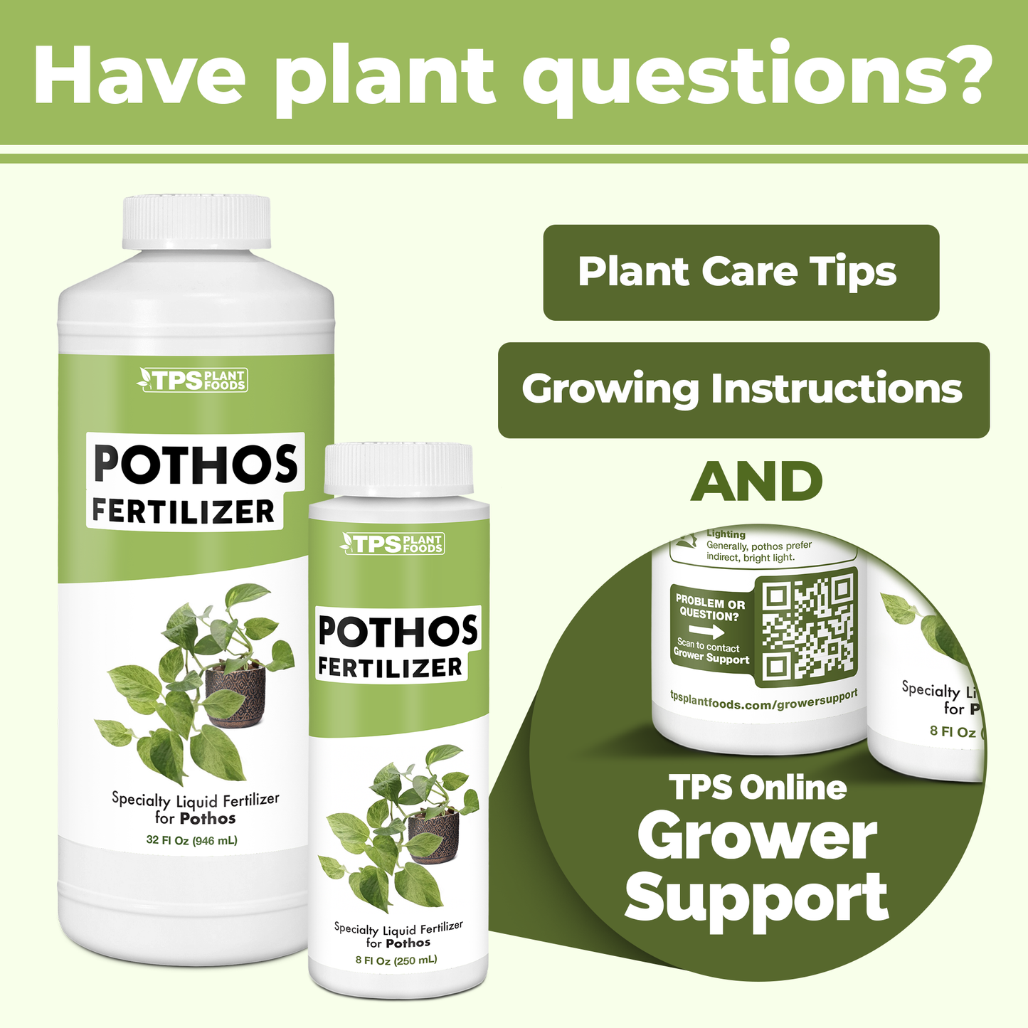 Pothos Fertilizer plant care benefits and application information