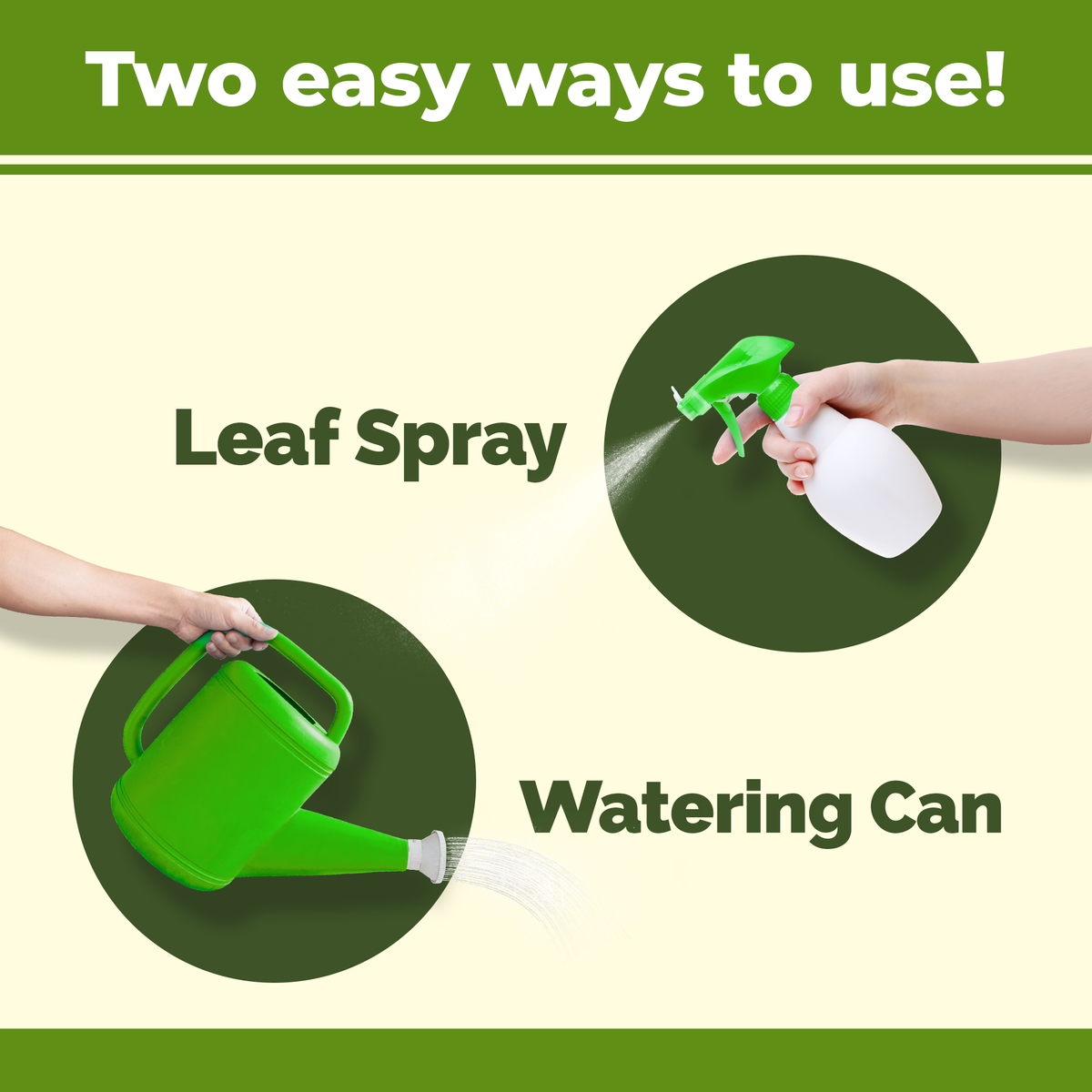 How to use and apply Dracaena Fertilizer