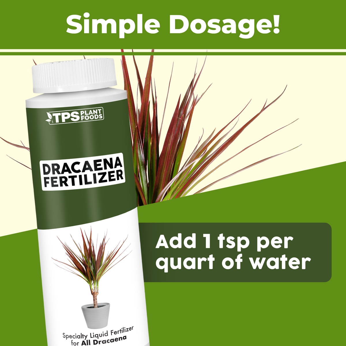 Dracaena Fertilizer - 32 Ounce