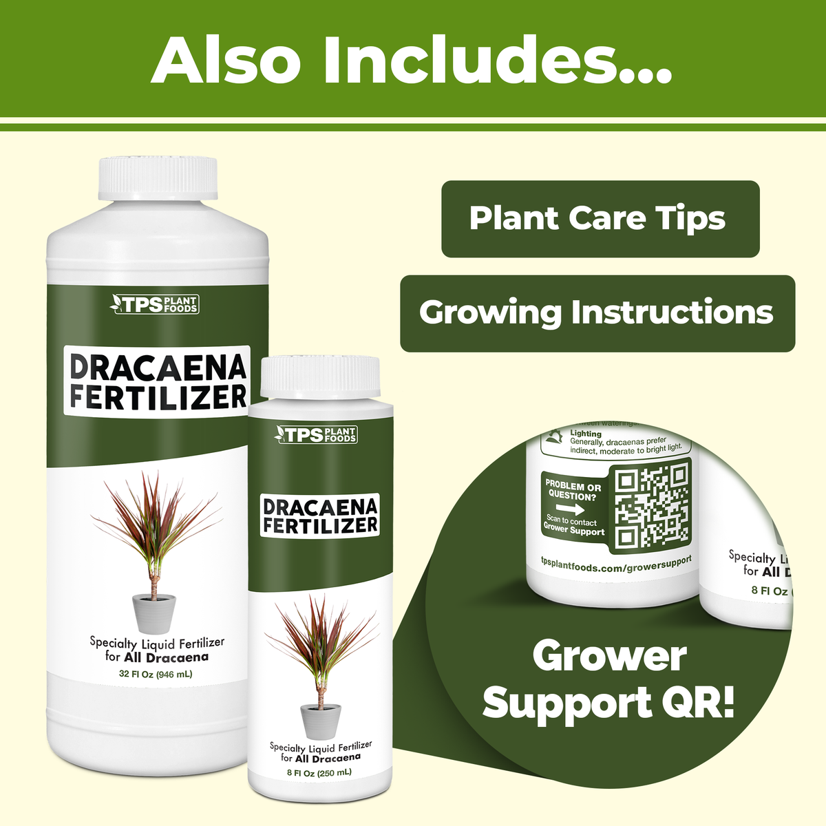 Dracaena Fertilizer plant care benefits and application information