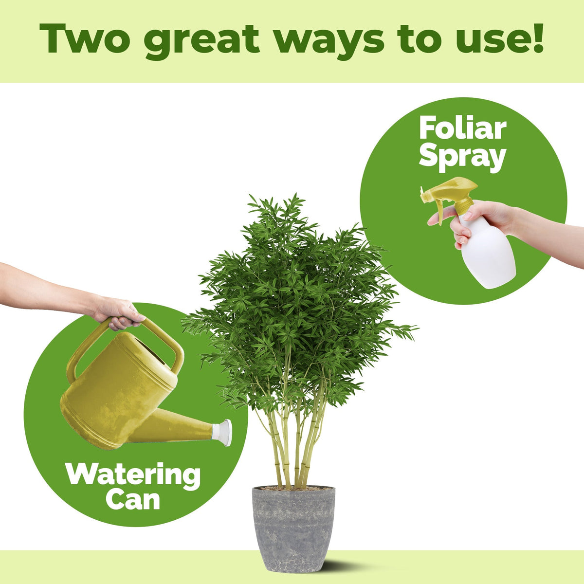 How to mix and apply TPS Bamboo Fertilizer — 1 tsp per quart