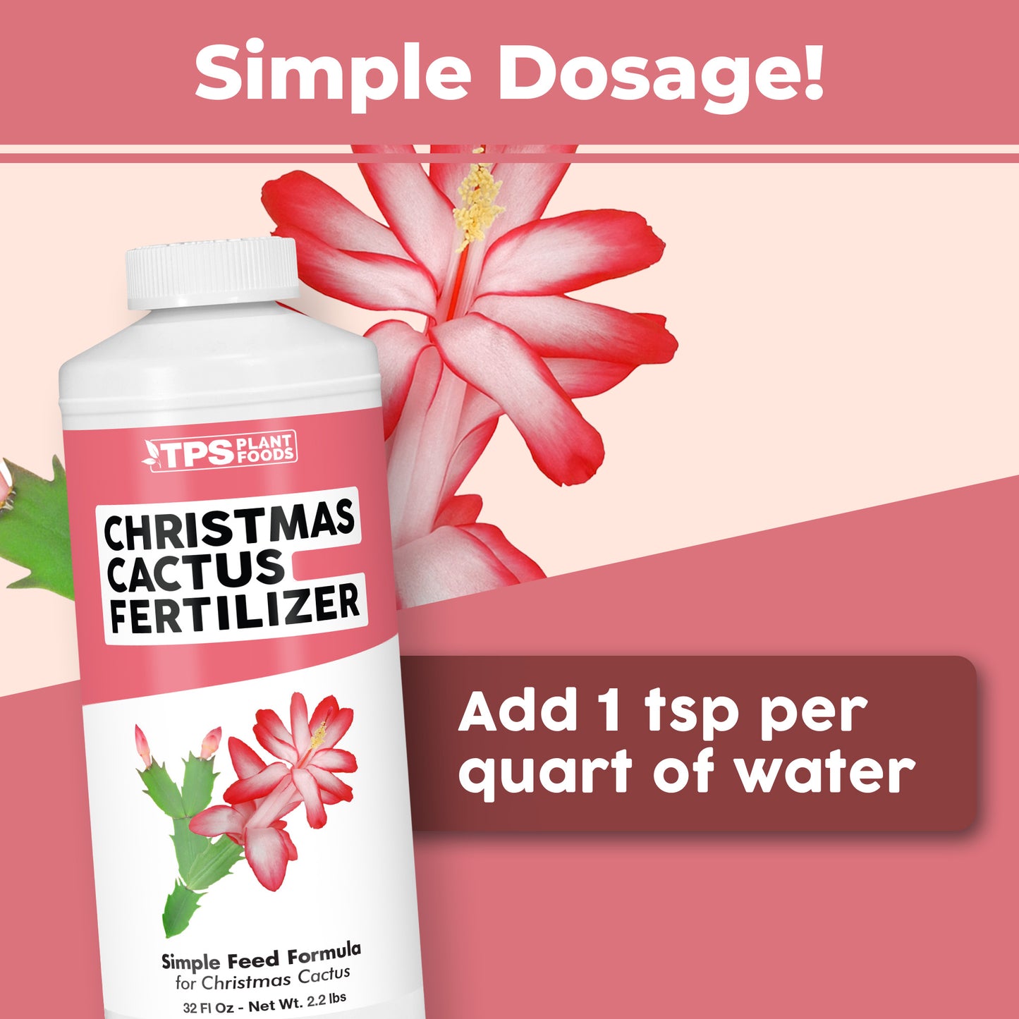 Christmas Cactus Fertilizer