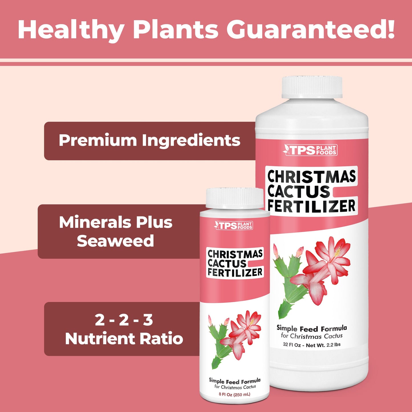 How to use and apply Christmas Cactus Fertilizer
