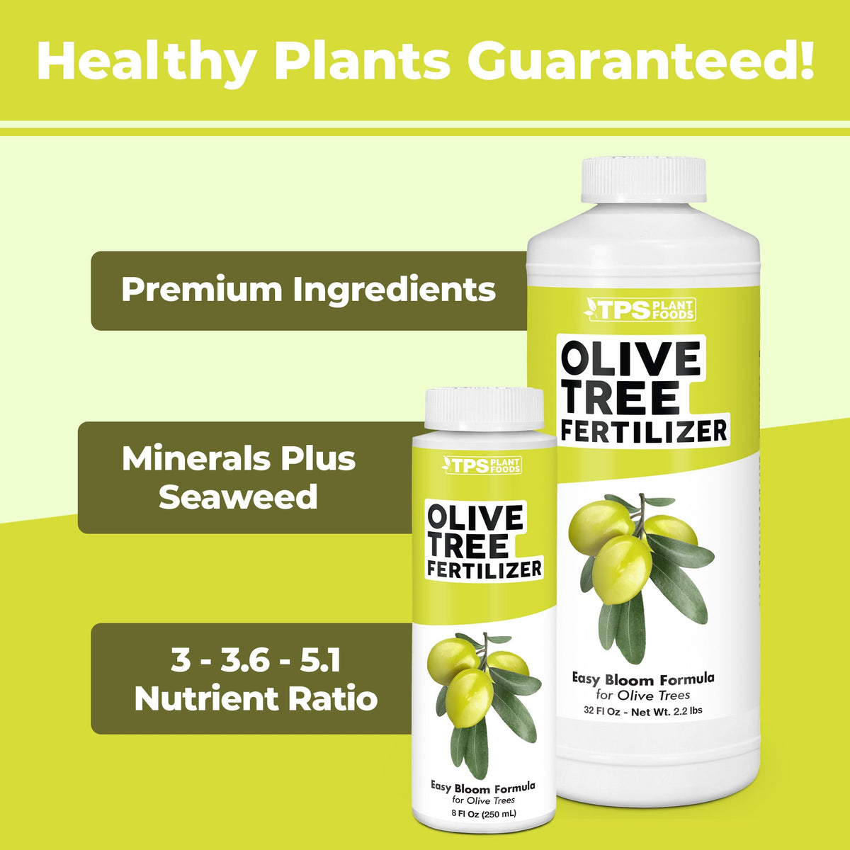 How to mix and apply TPS Olive Tree Fertilizer — 2 Tbs per gallon