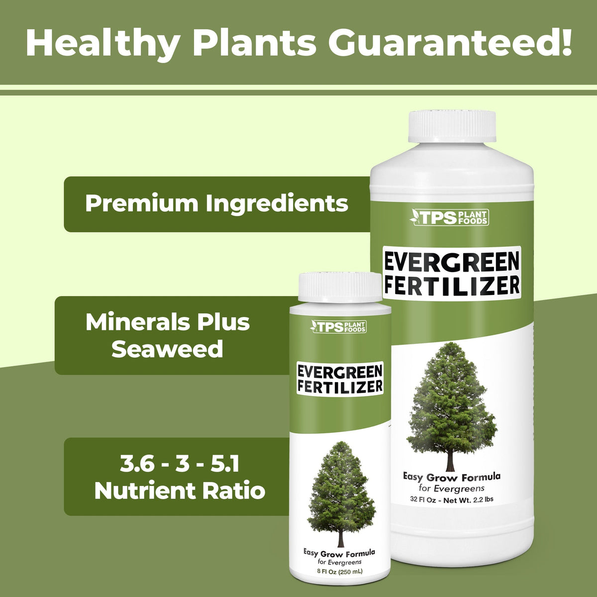 How to use and apply Evergreen Fertilizer