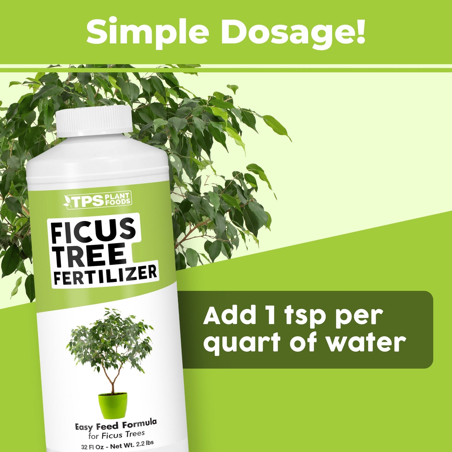 Key benefits and healthy growth features of Ficus Fertilizer