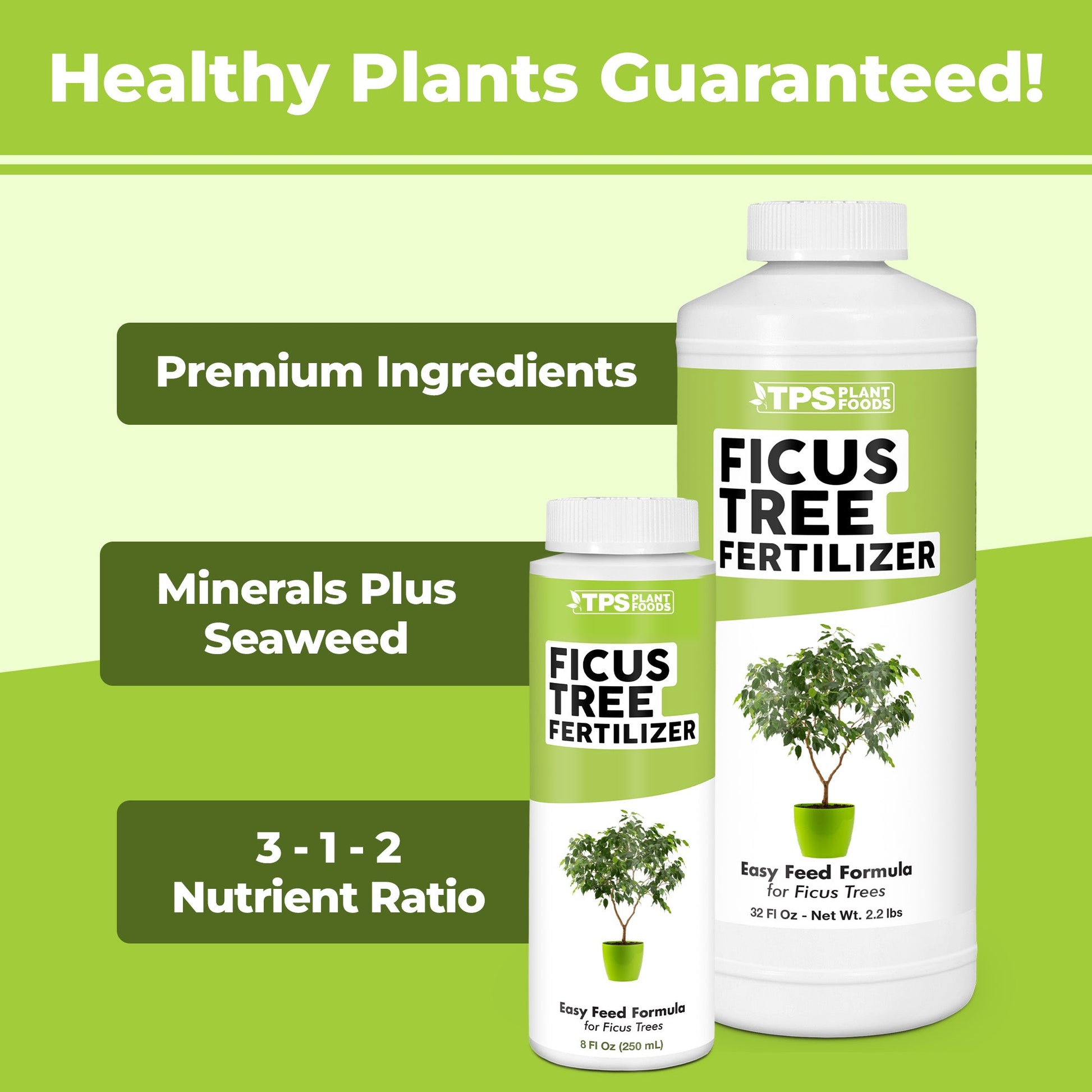 How to use and apply Ficus Fertilizer