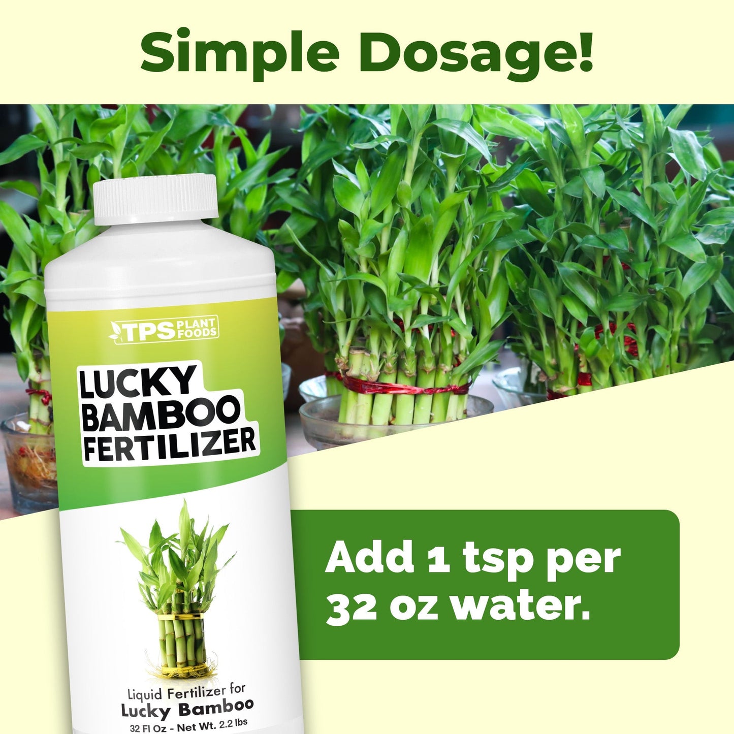 Lucky Bamboo Fertilizer