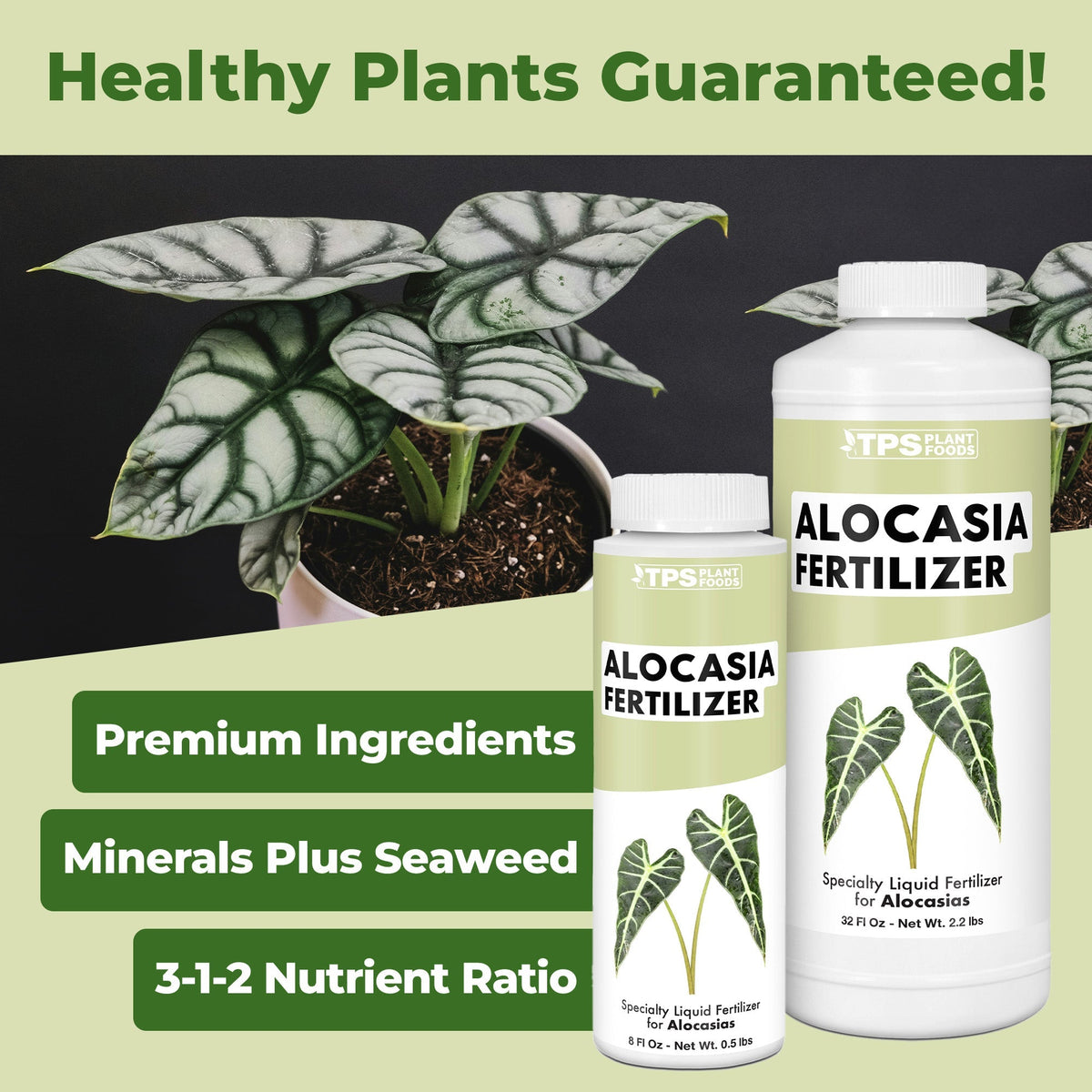 Alocasia Fertilizer product package shown with plants