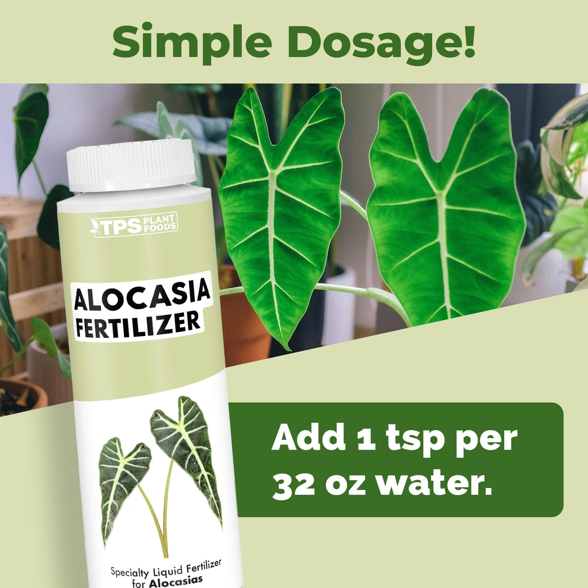 Alocasia Fertilizer - 8 Ounce