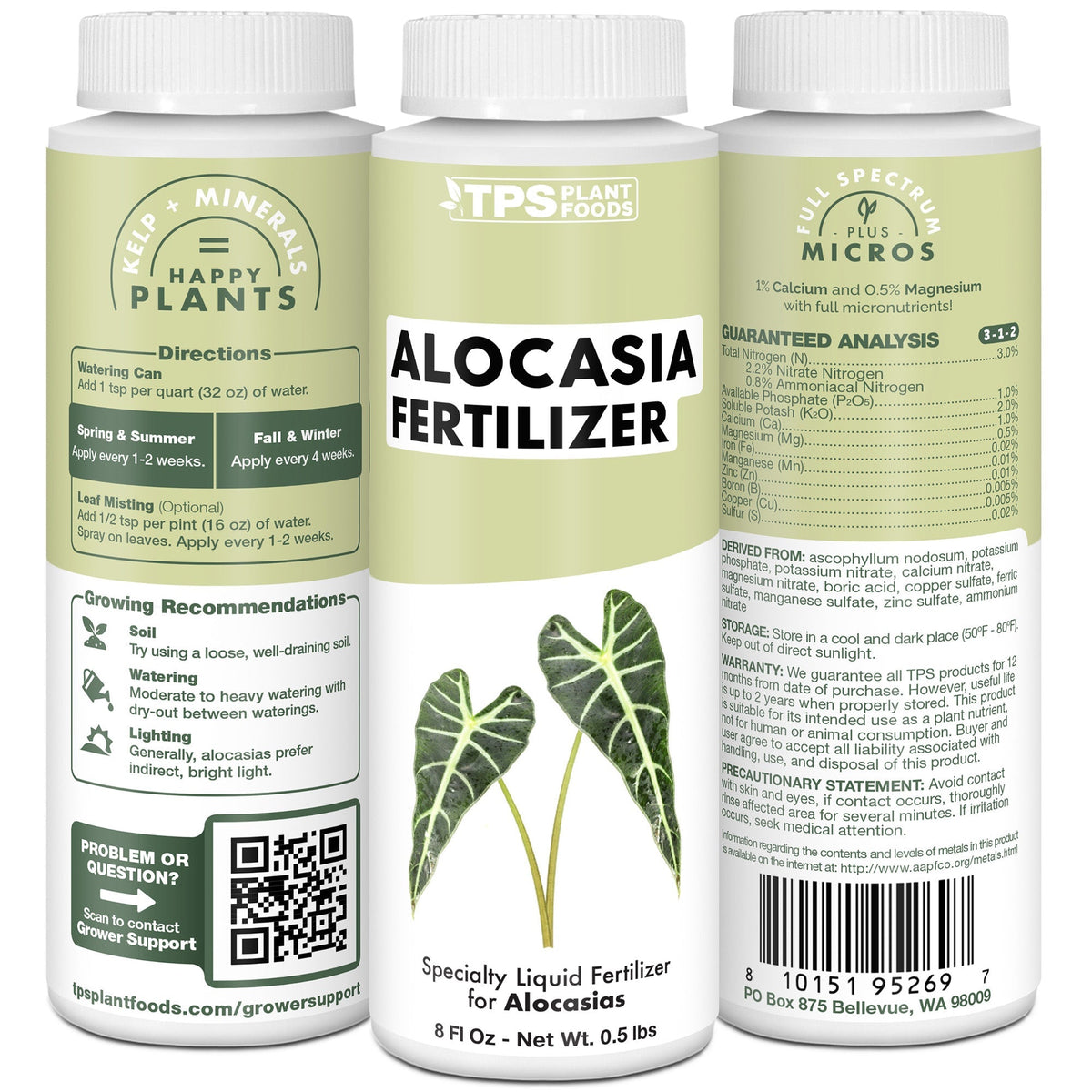 Alocasia Fertilizer formula, features, and plant care details