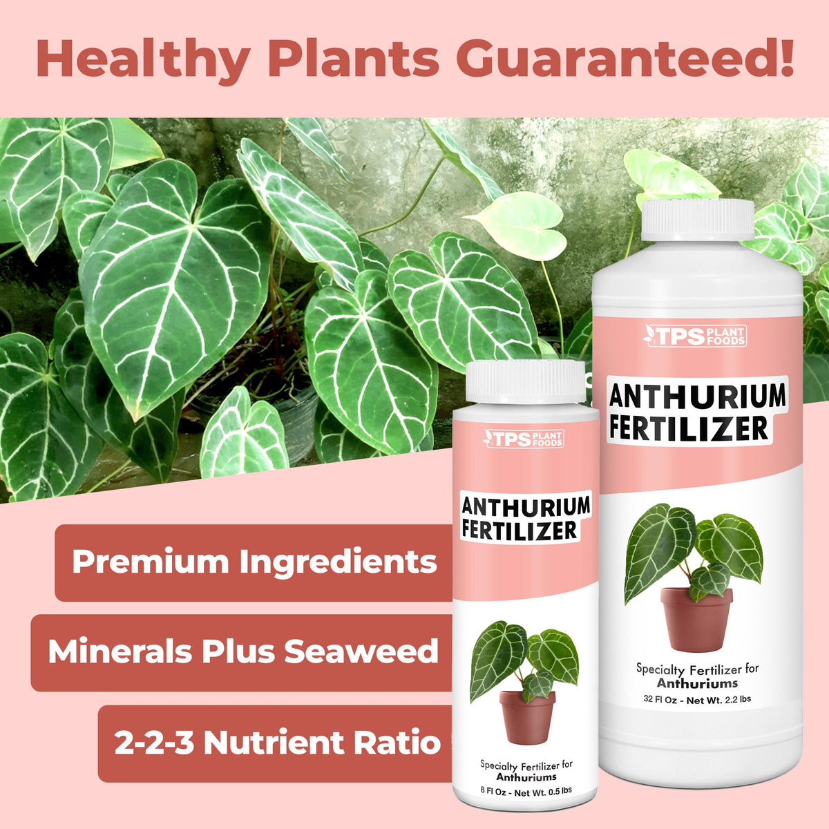Anthurium Fertilizer product package shown with plants