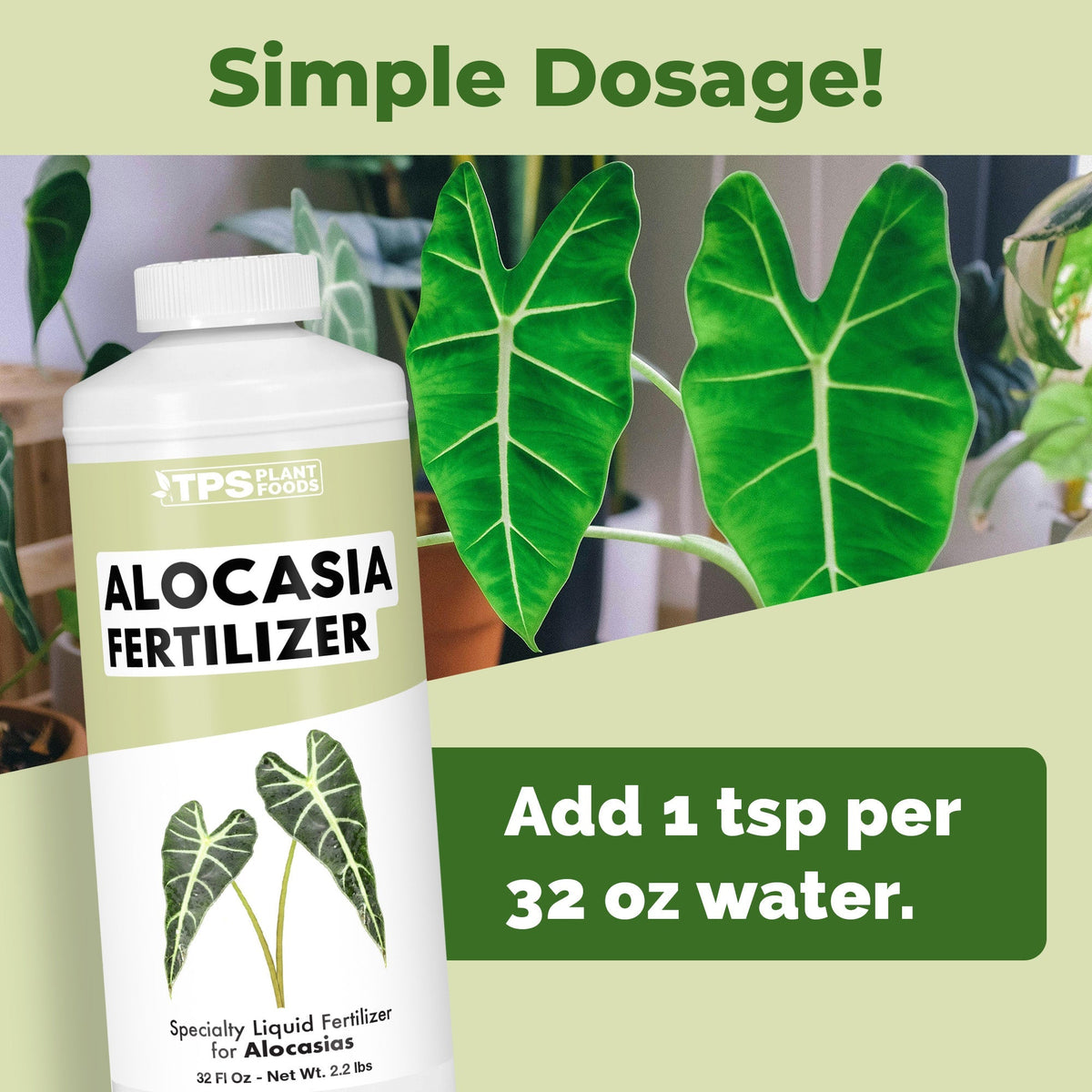 Alocasia Fertilizer - 32 Ounce