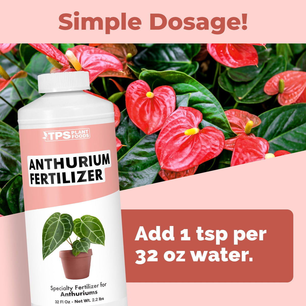 Anthurium Fertilizer - 32 Ounce