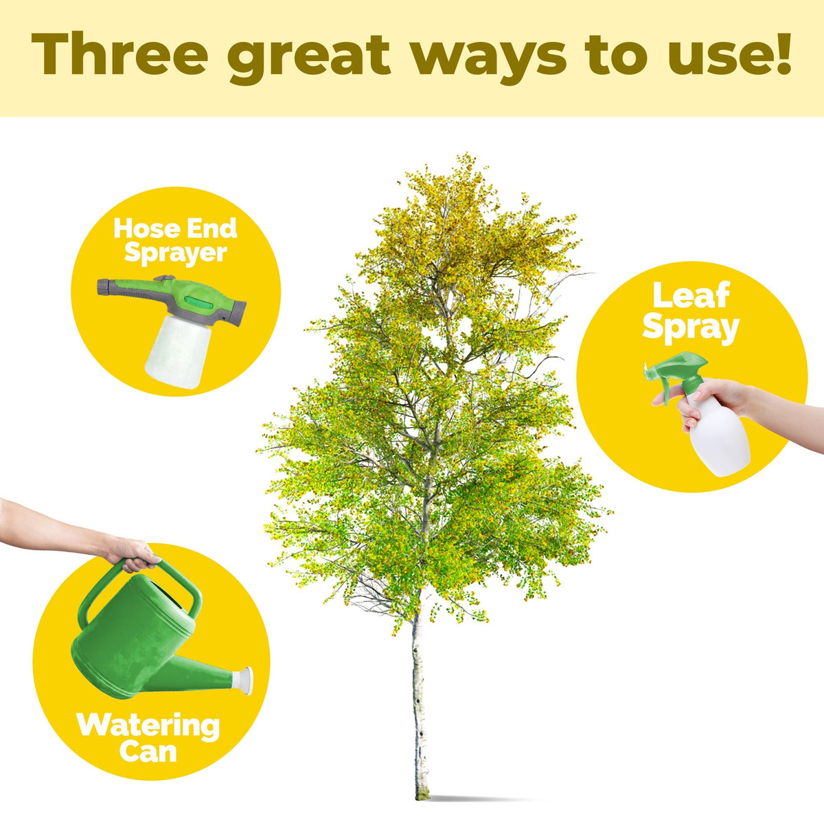 How to use and apply Aspen Tree Fertilizer