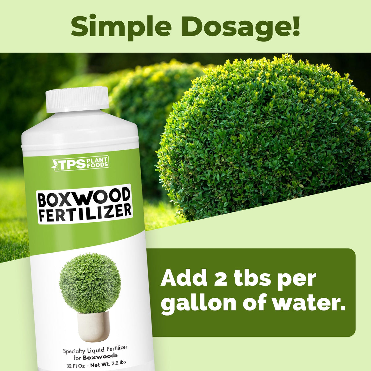 Boxwood Fertilizer - 8 Ounce