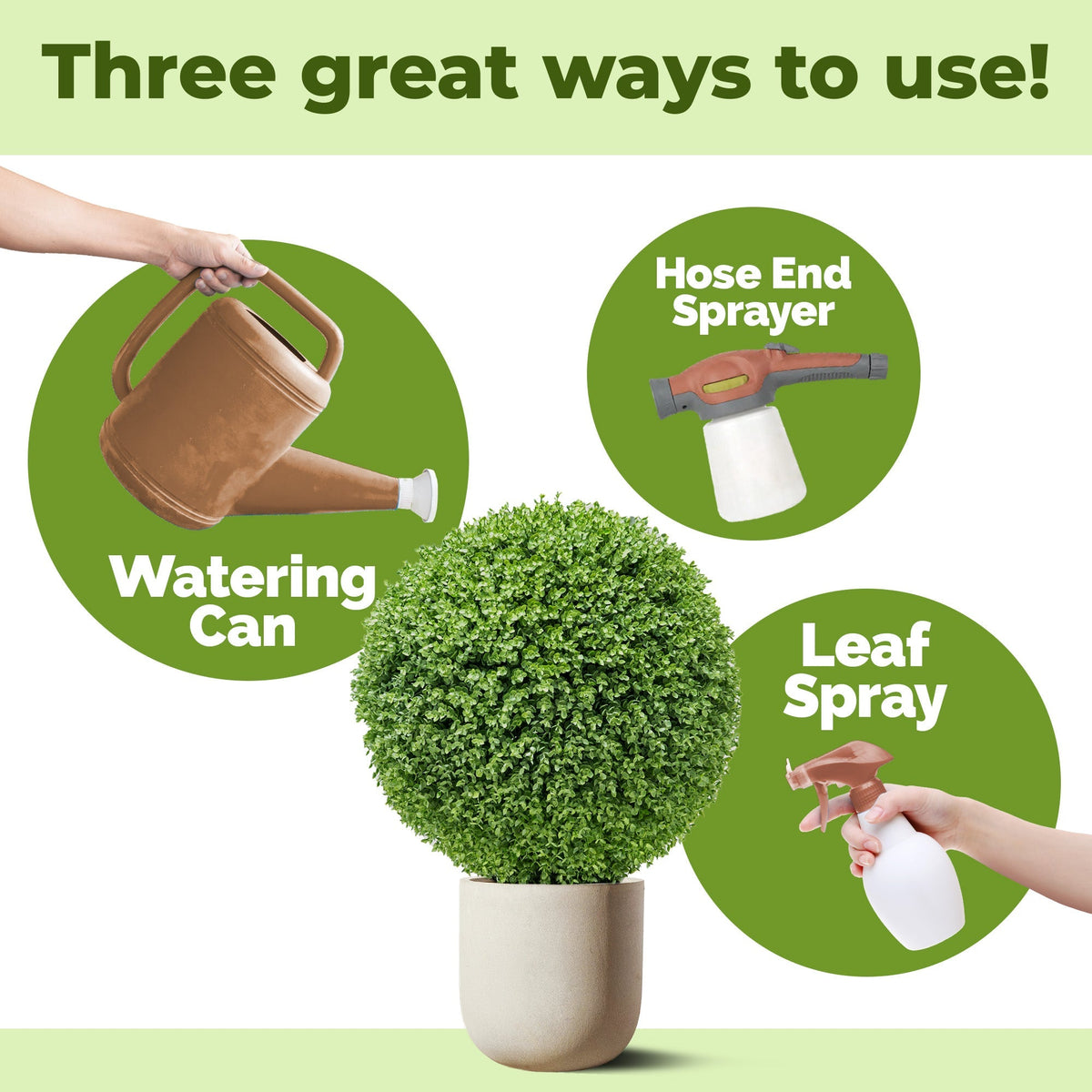How to use and apply Boxwood Fertilizer