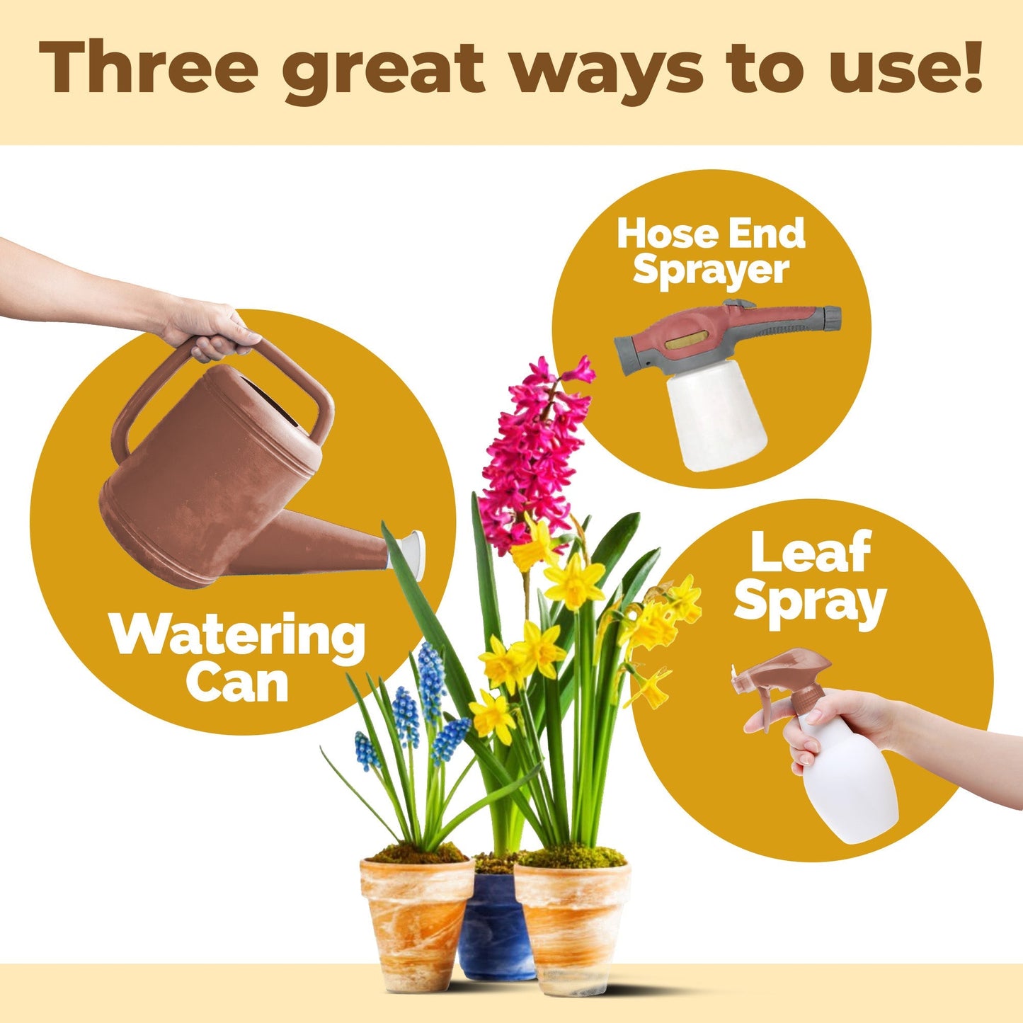 How to use and apply Bulb Fertilizer