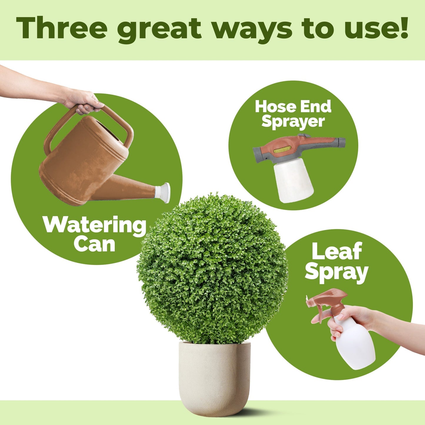 How to use and apply Boxwood Fertilizer