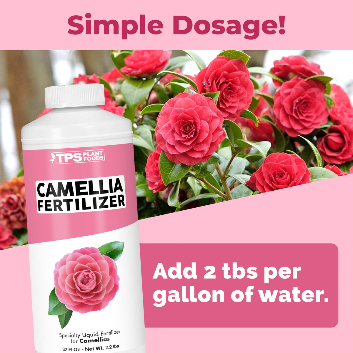 Camellia Fertilizer - 32 Ounce