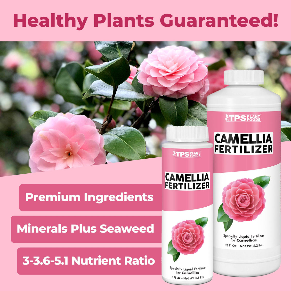 Camellia Fertilizer product package shown with plants