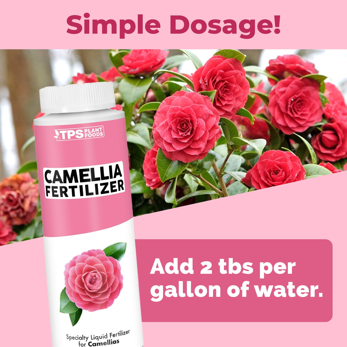 Camellia Fertilizer - 8 Ounce