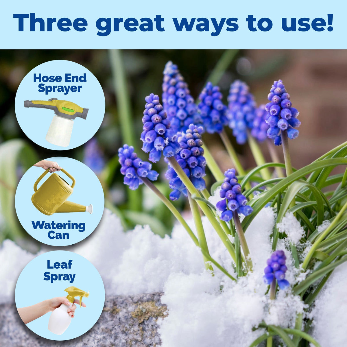 How to use and apply Winter Fertilizer
