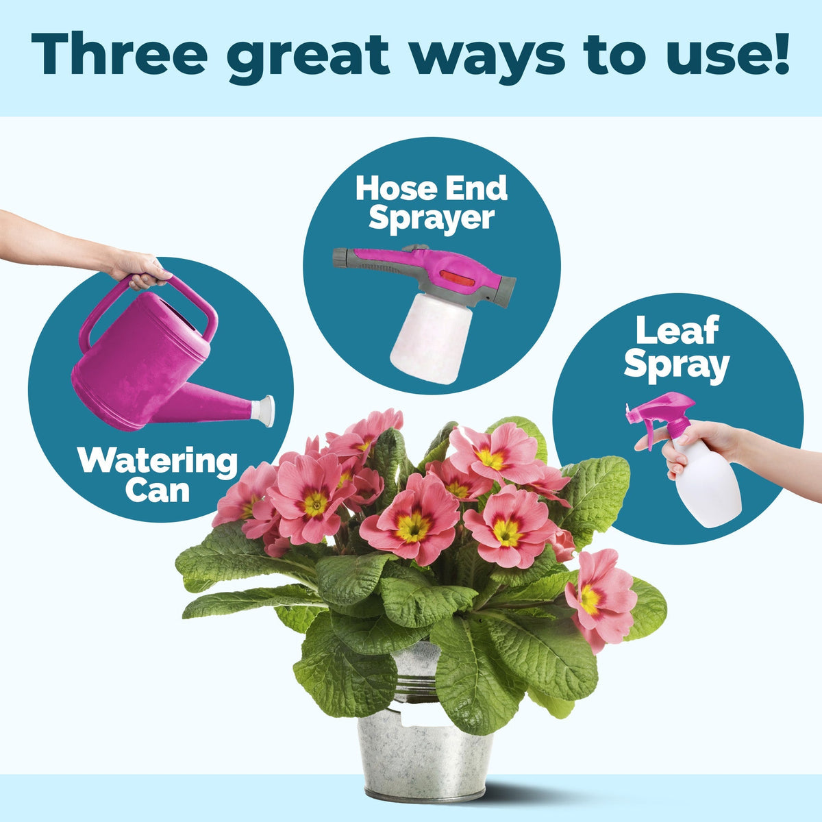 How to mix and apply TPS Water Soluble Fertilizer — 1 Tbs per gallon [how-to]