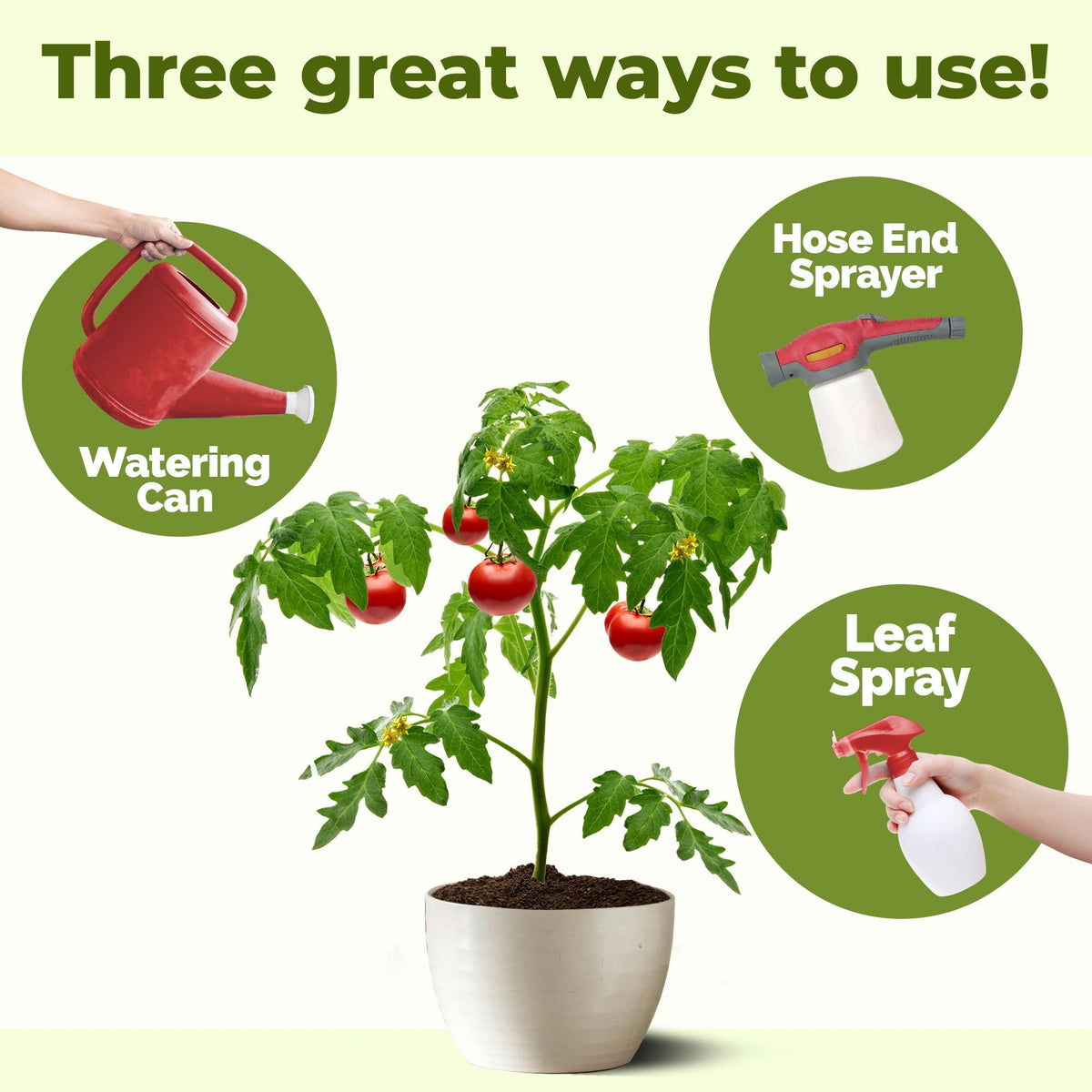 How to use and apply Vegetable Fertilizer