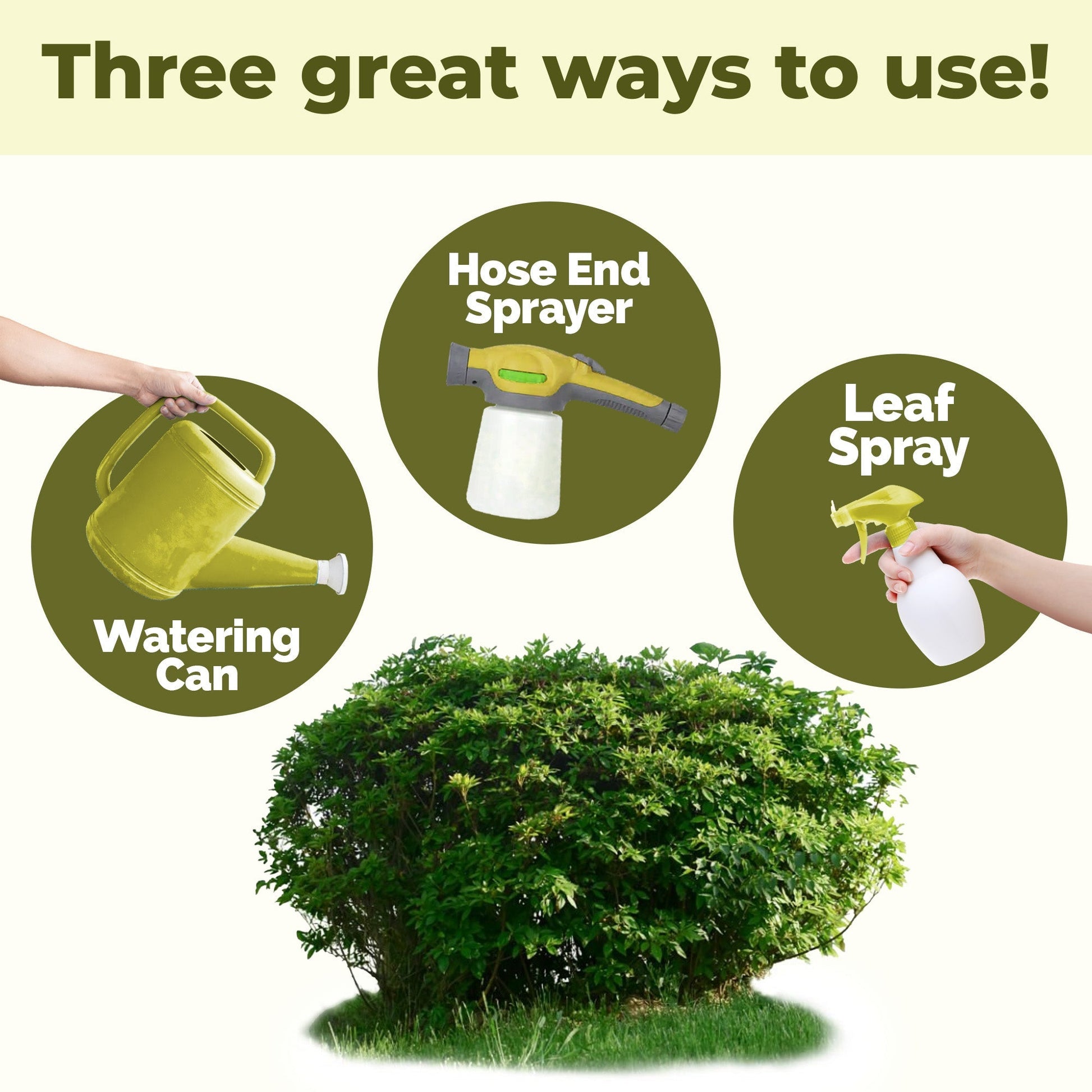 How to use and apply Shrub Fertilizer