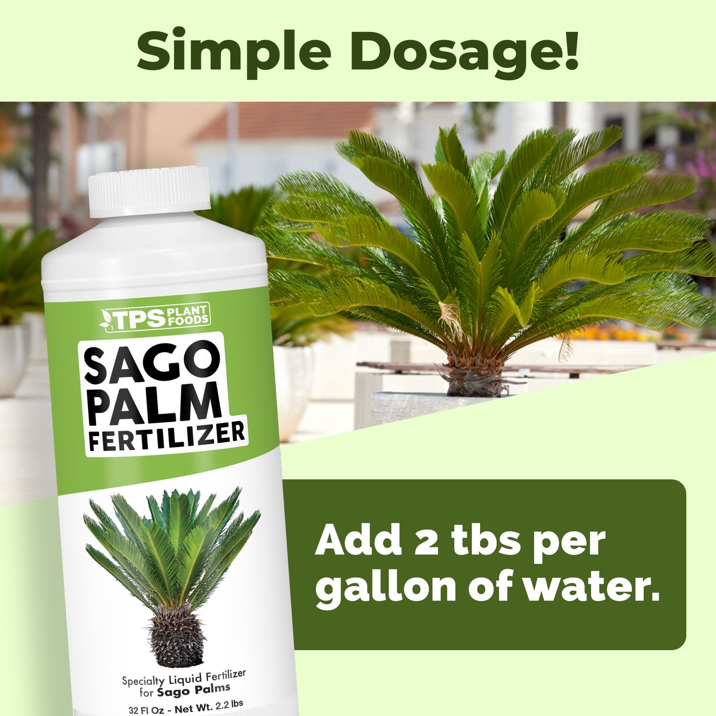 Sago Palm Fertilizer