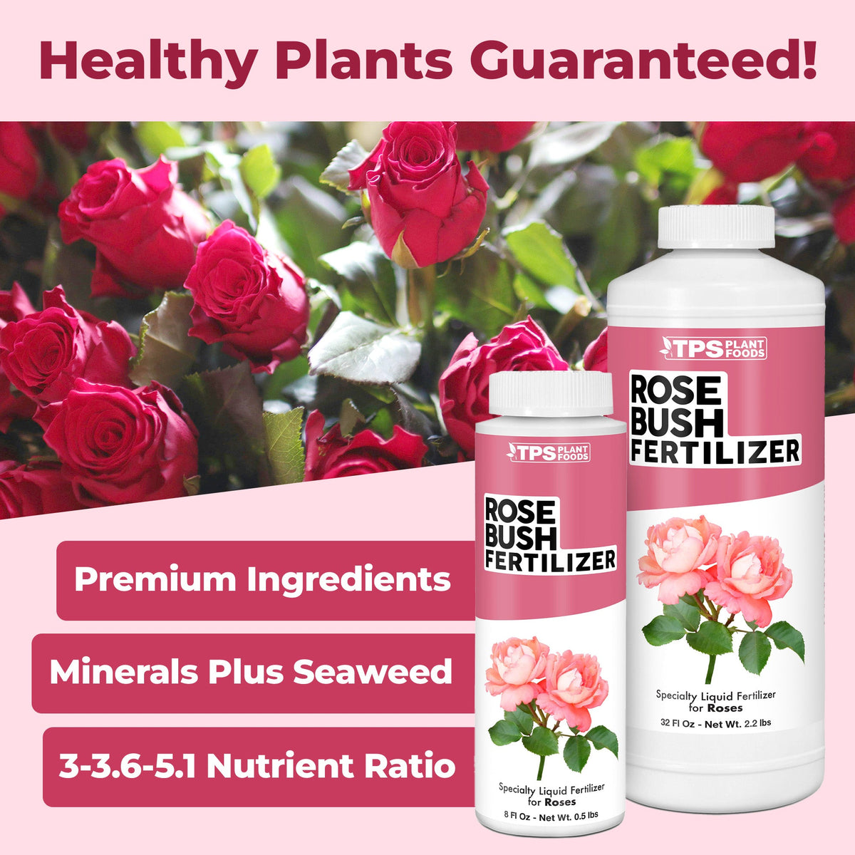 TPS Rose Bush Fertilizer bottle shown with healthy rose bush