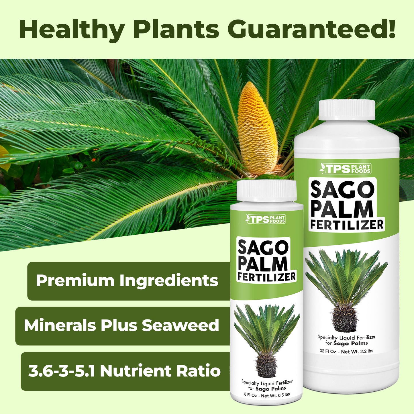 Sago Palm Fertilizer