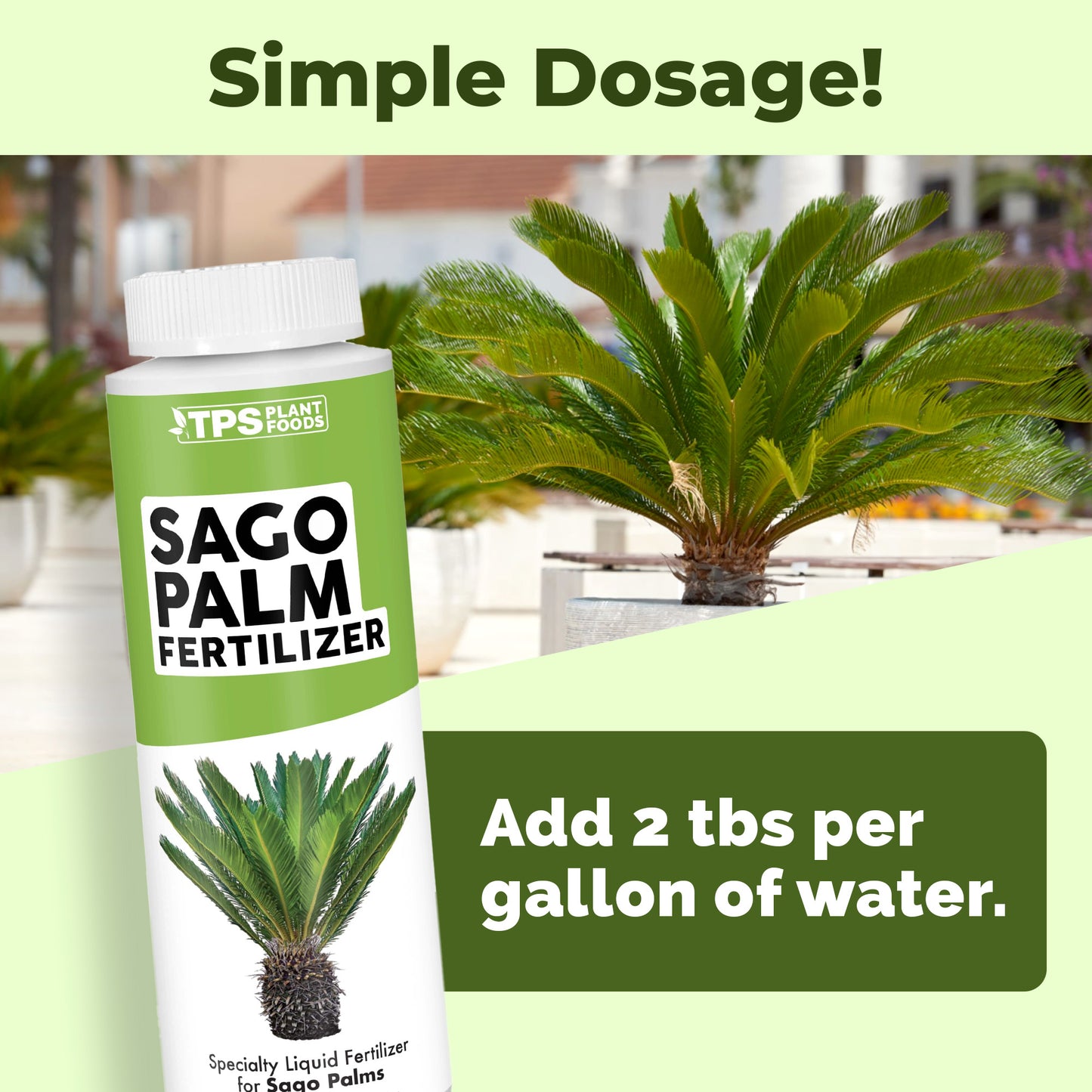 Sago Palm Fertilizer