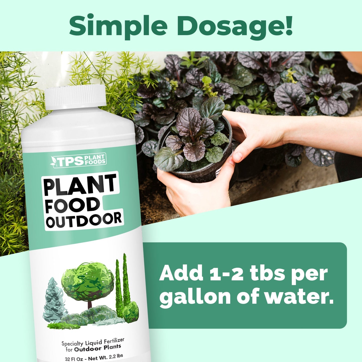 Plant Food Outdoor