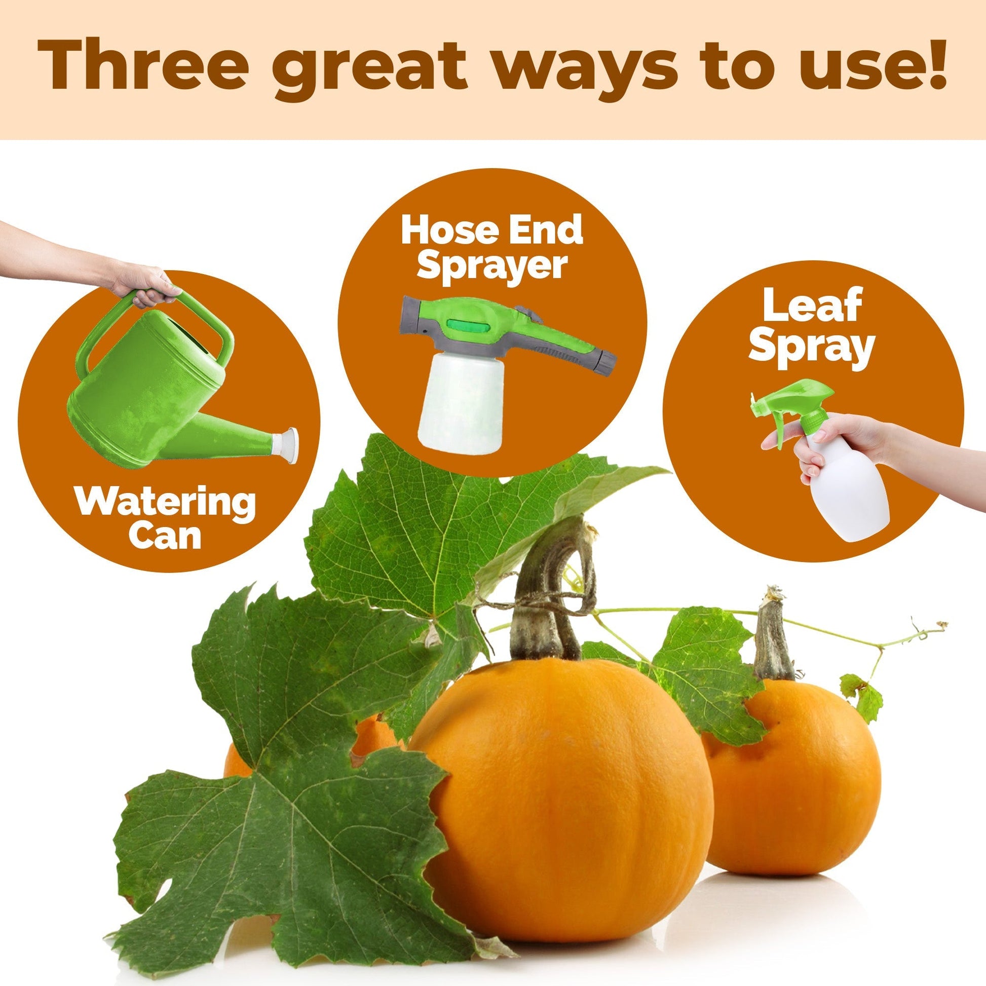 How to use and apply Pumpkin Fertilizer