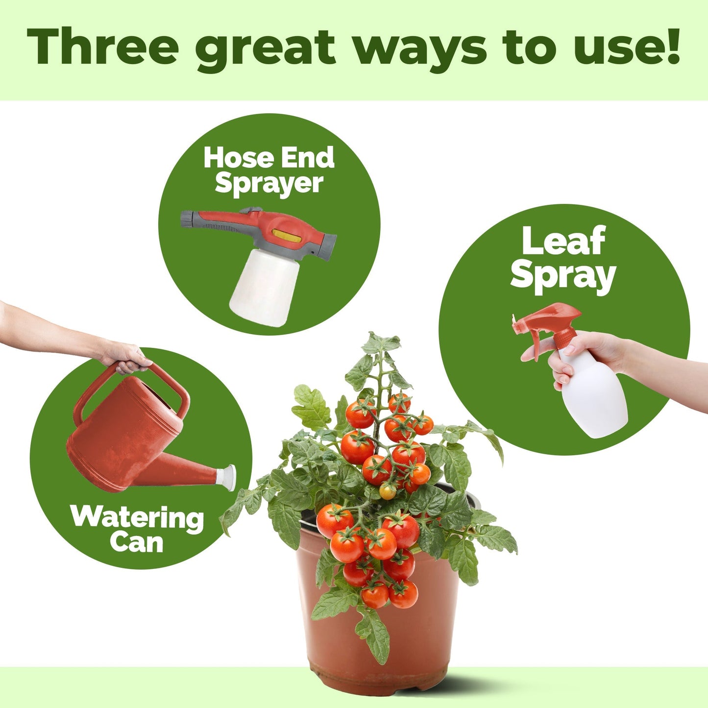 Plant Food