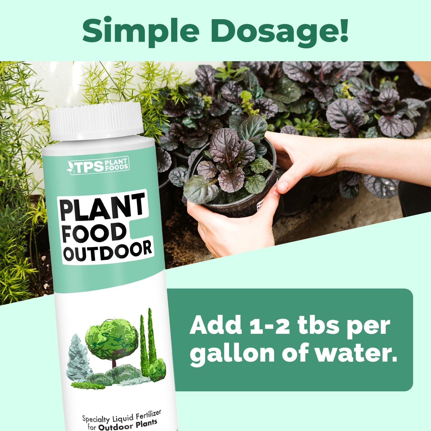 Plant Food Outdoor