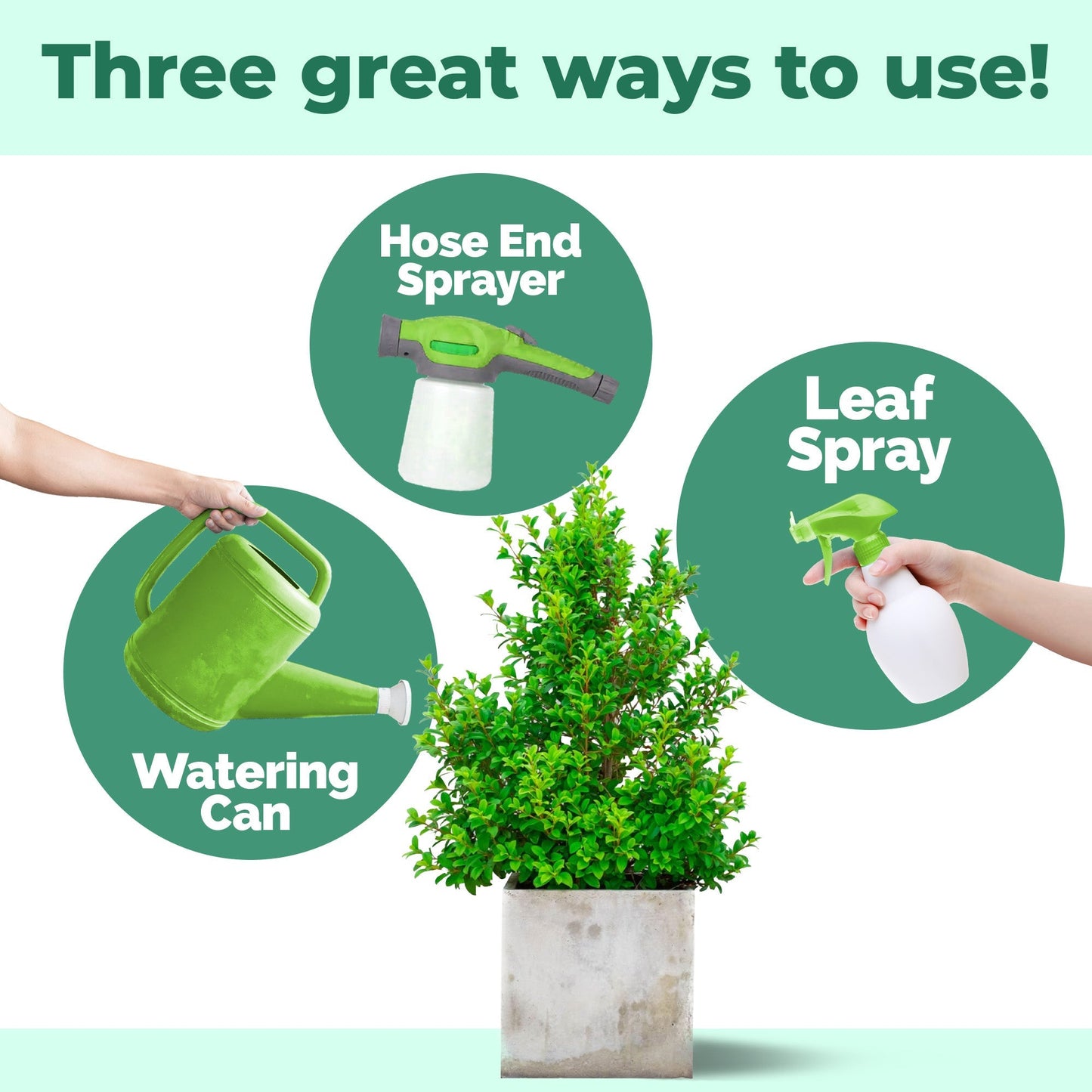 Plant Food Outdoor