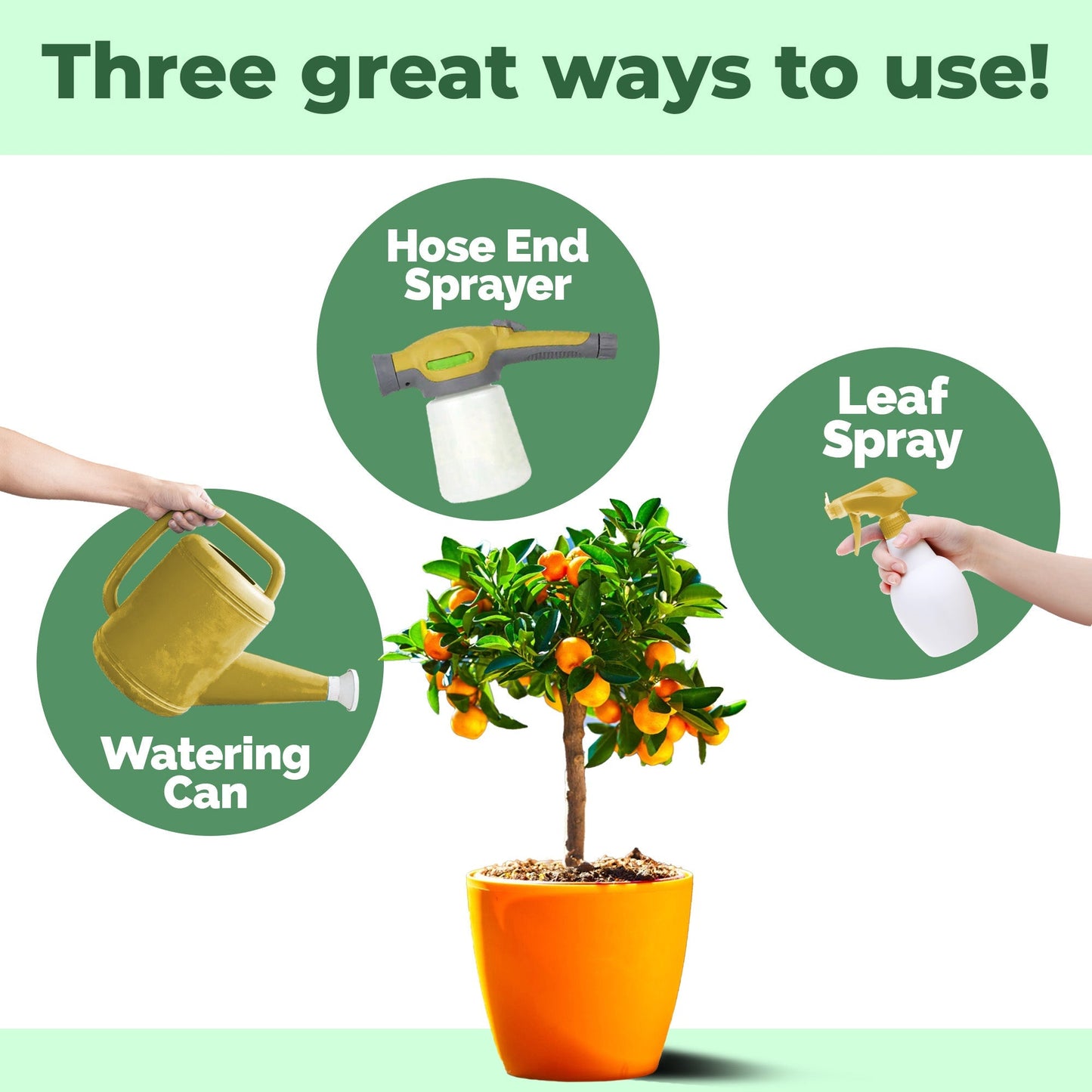 Plant Fertilizer