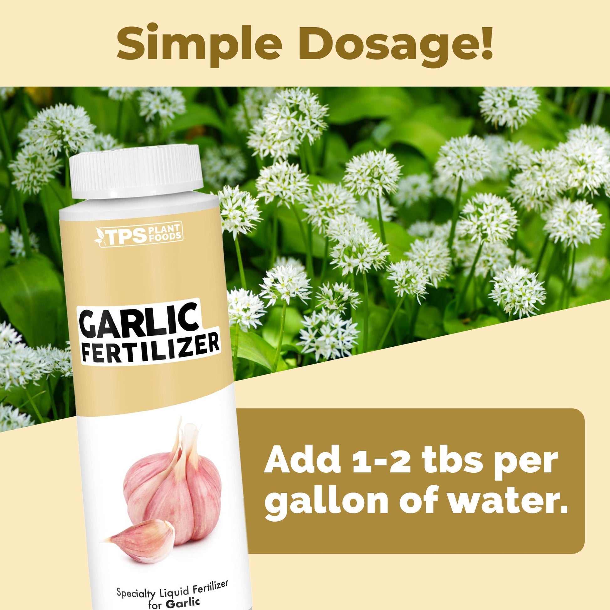 Key benefits and healthy growth features of Garlic Fertilizer