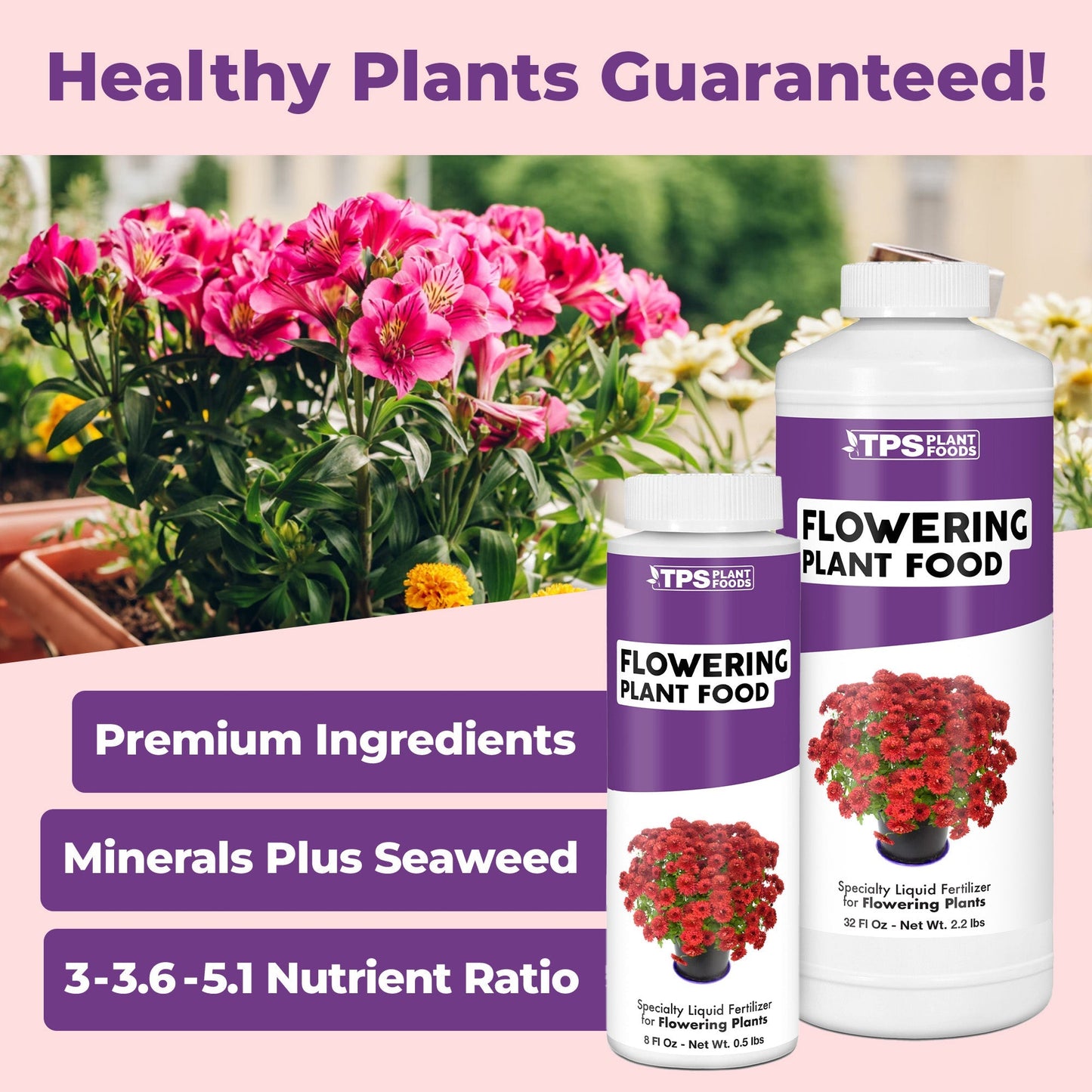 Flowering Plant Food