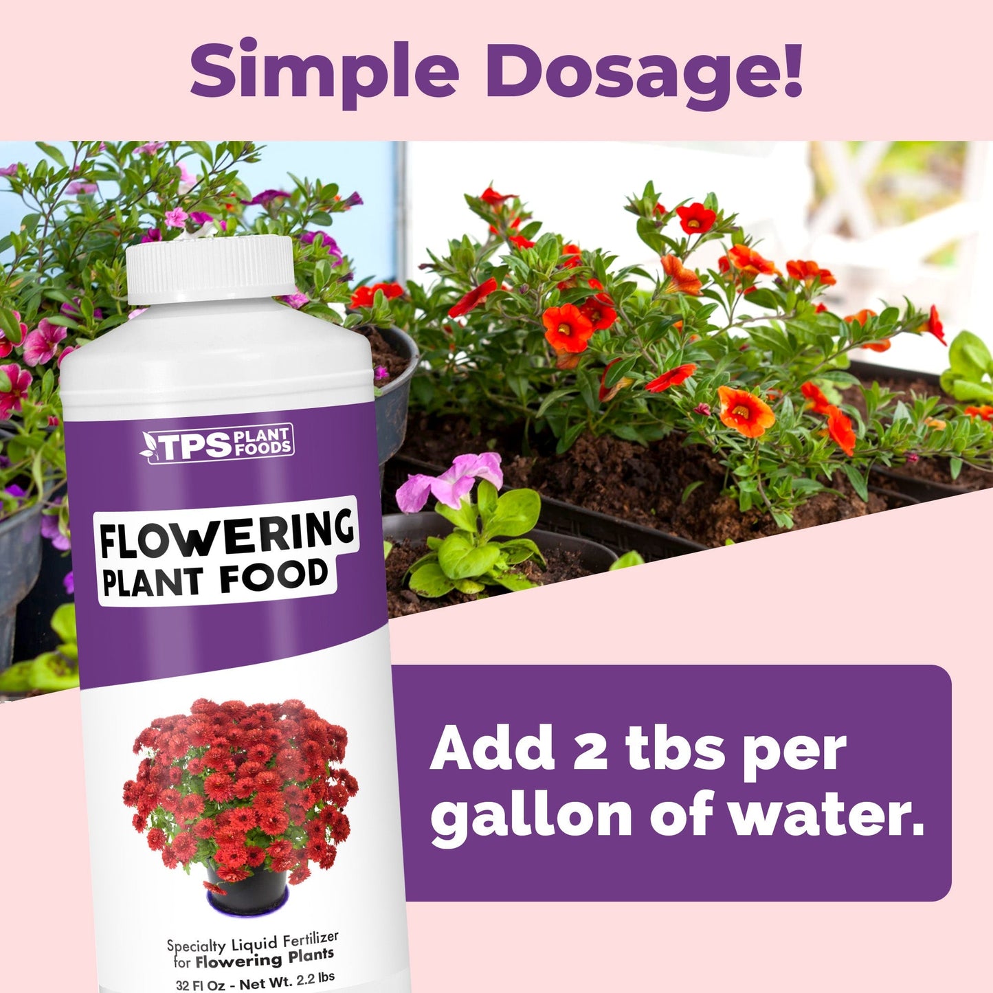 Flowering Plant Food