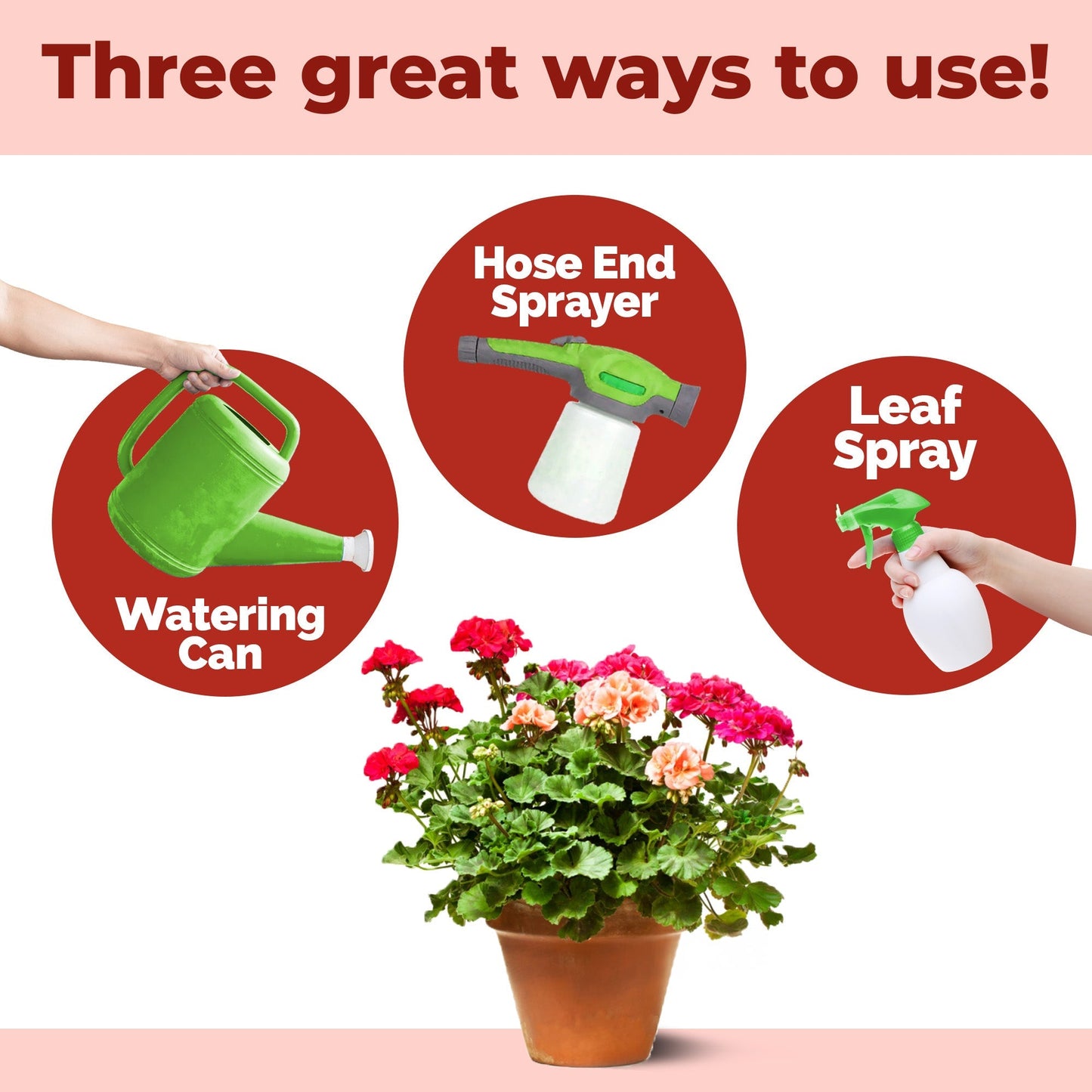 How to use and apply Geranium Fertilizer